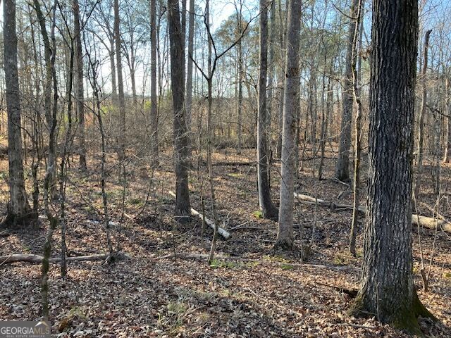 352 Woodville Philomath Road Rayle GA 30660