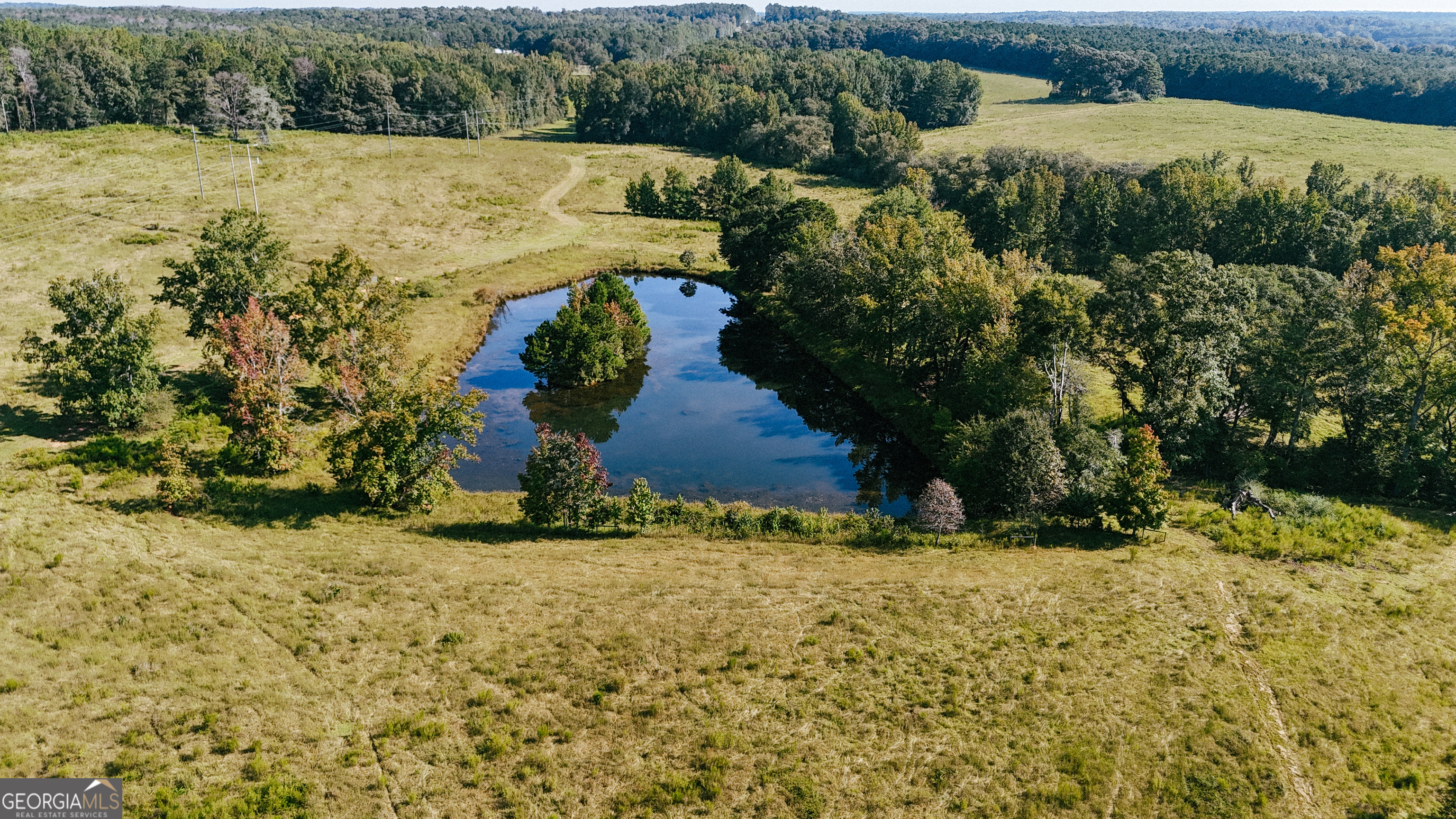 0 (259.67+/-AC) Bohannon Road Grantville GA 30220