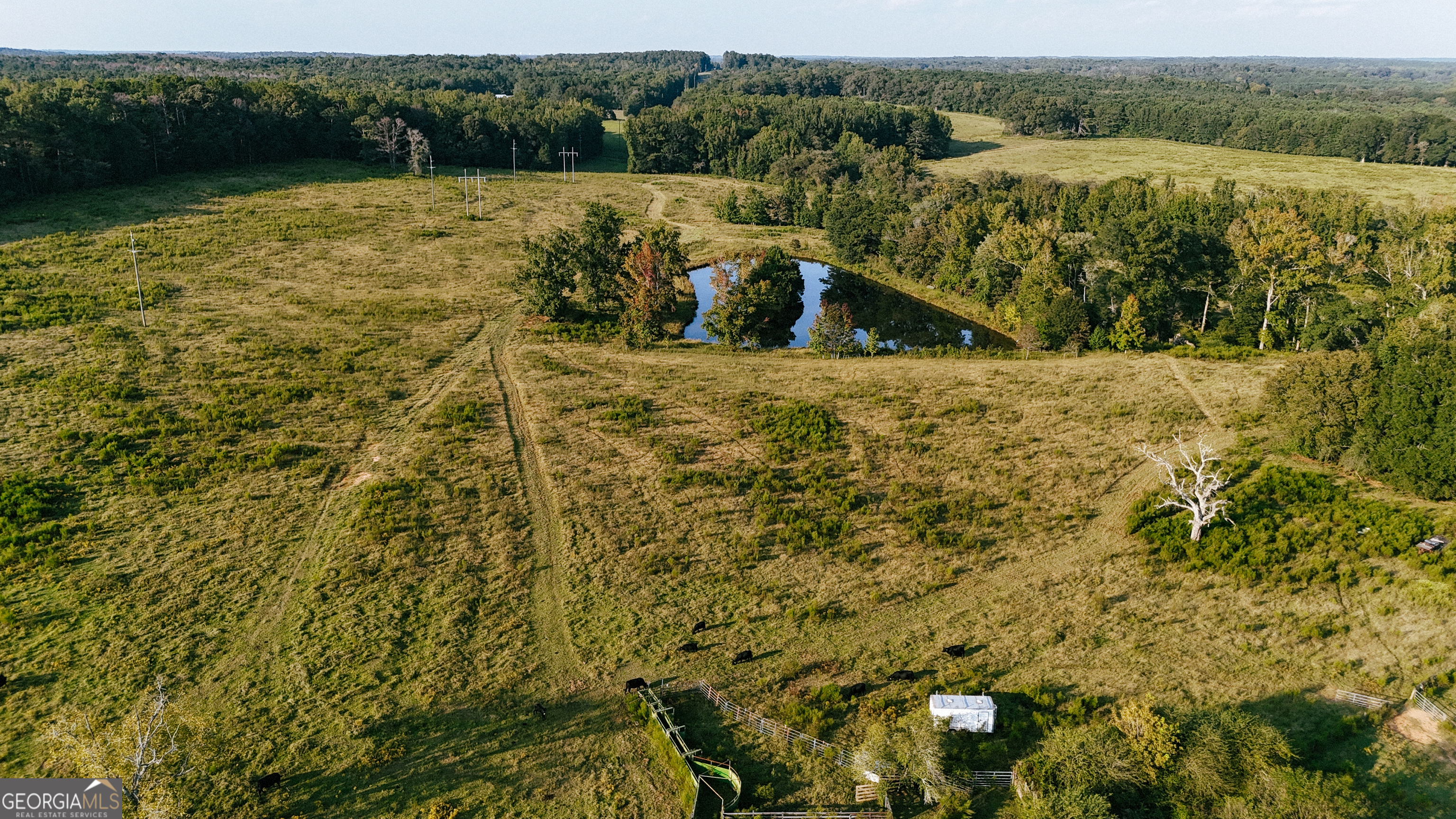 0 (259.67+/-AC) Bohannon Road Grantville GA 30220