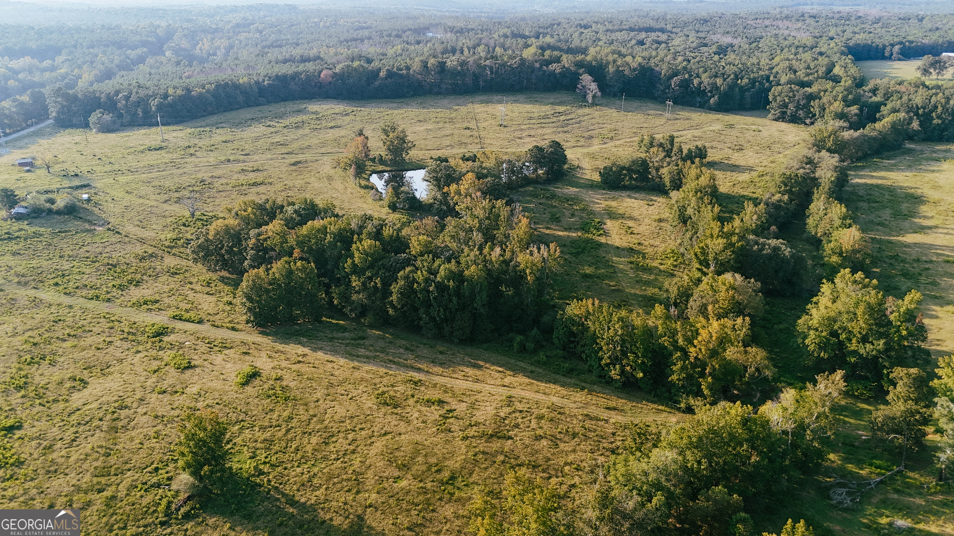 0 (259.67+/-AC) Bohannon Road Grantville GA 30220