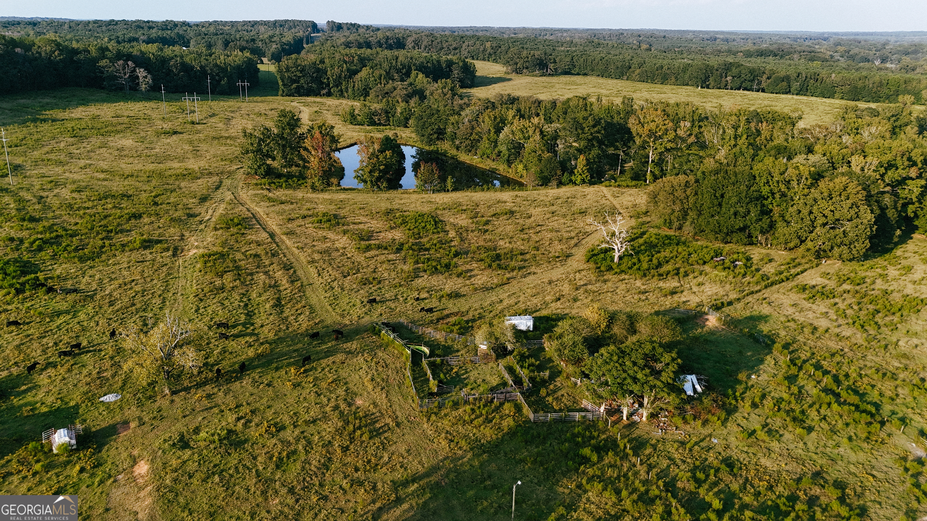 0 (259.67+/-AC) Bohannon Road Grantville GA 30220