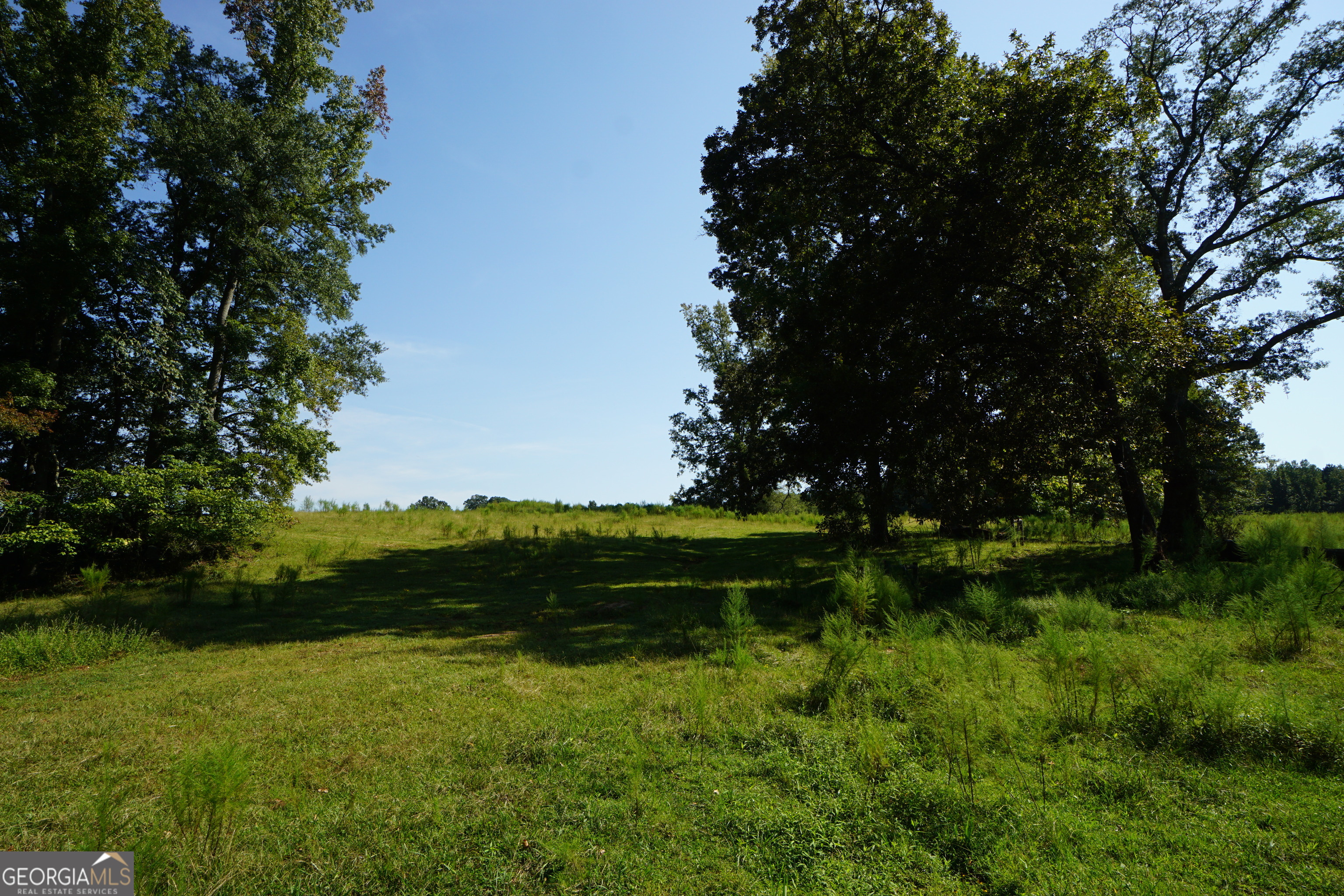 0 (259.67+/-AC) Bohannon Road Grantville GA 30220