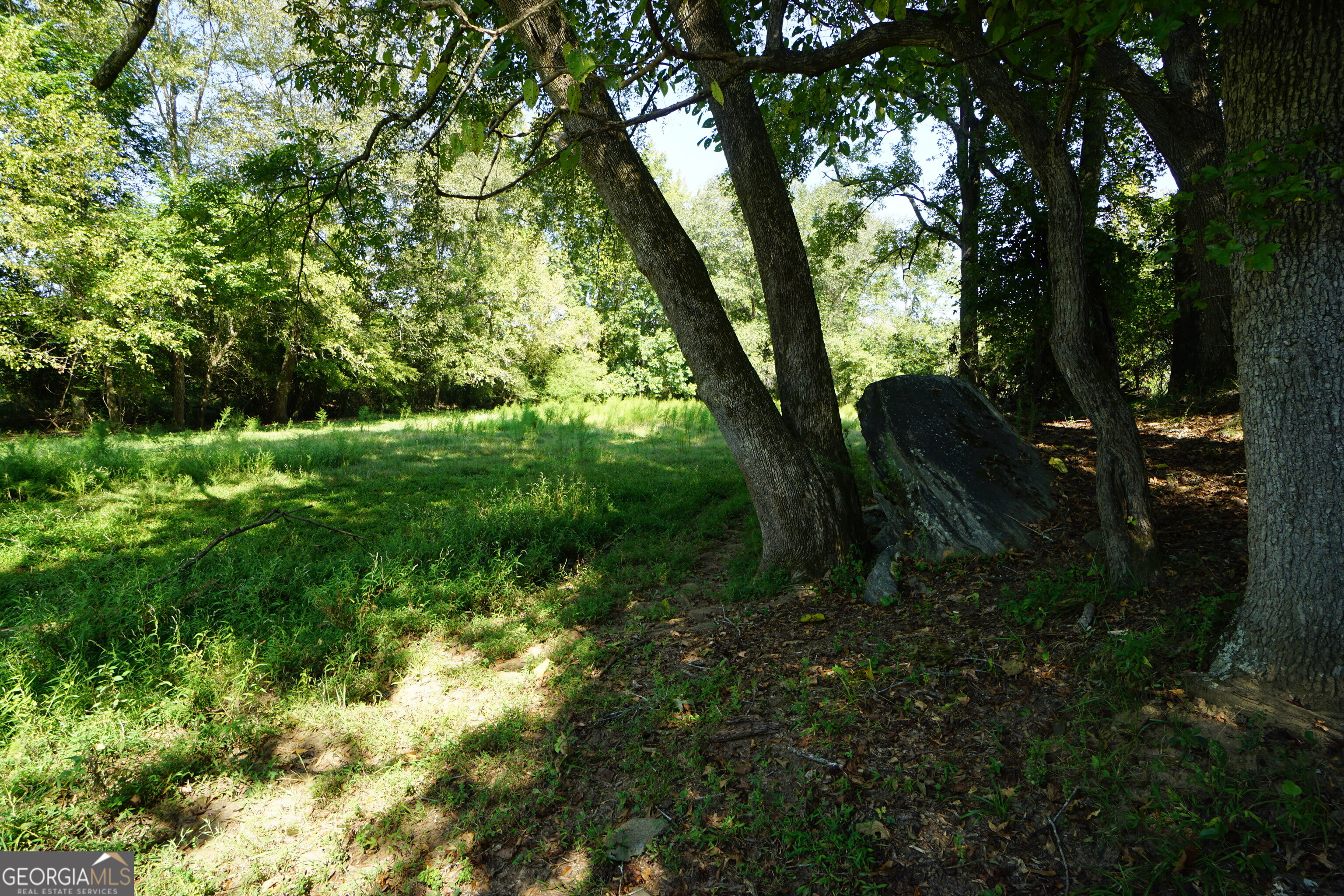 0 (259.67+/-AC) Bohannon Road Grantville GA 30220
