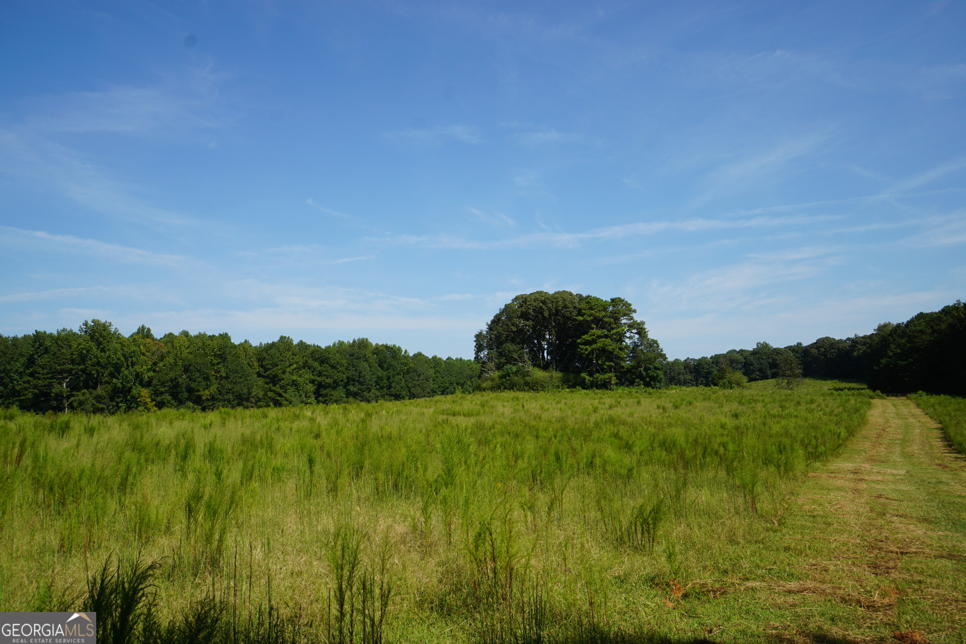 0 (259.67+/-AC) Bohannon Road Grantville GA 30220