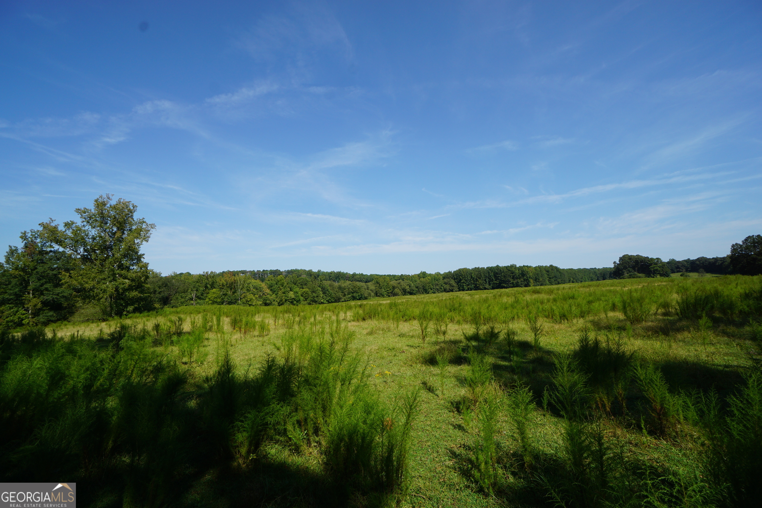 0 (259.67+/-AC) Bohannon Road Grantville GA 30220