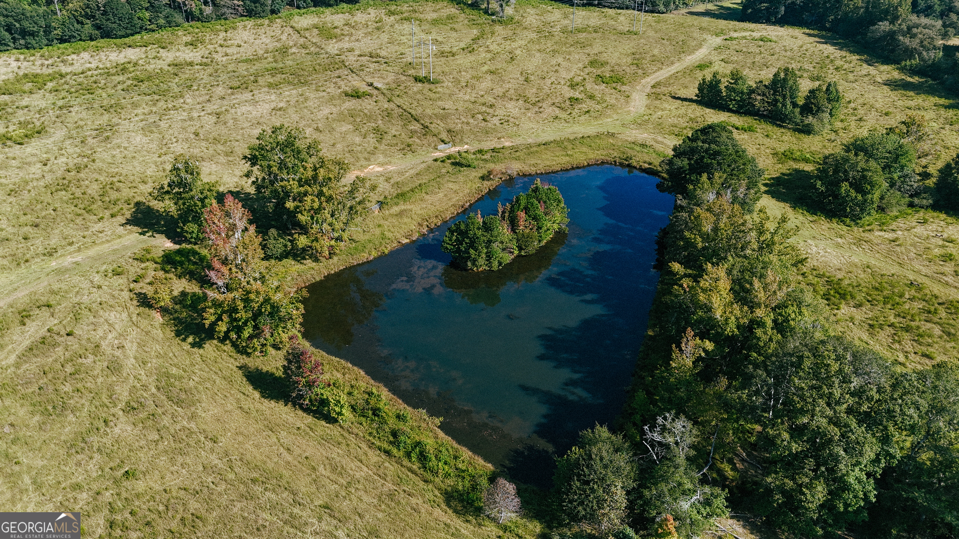 0 (259.67+/-AC) Bohannon Road Grantville GA 30220