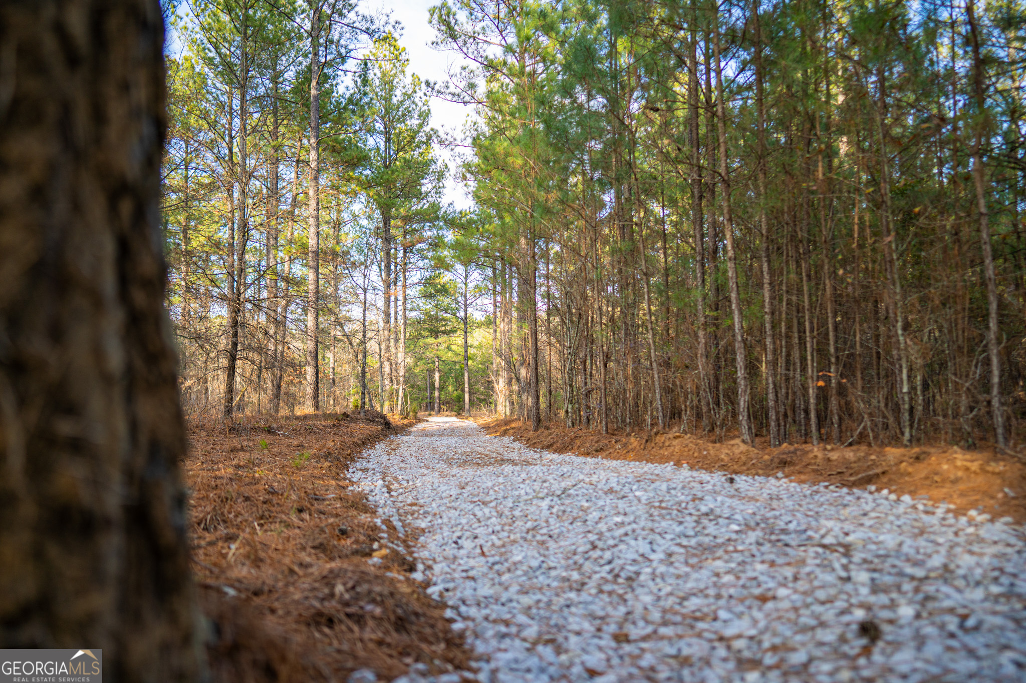3 Smith Rocky Branch Road Carlton GA 30627