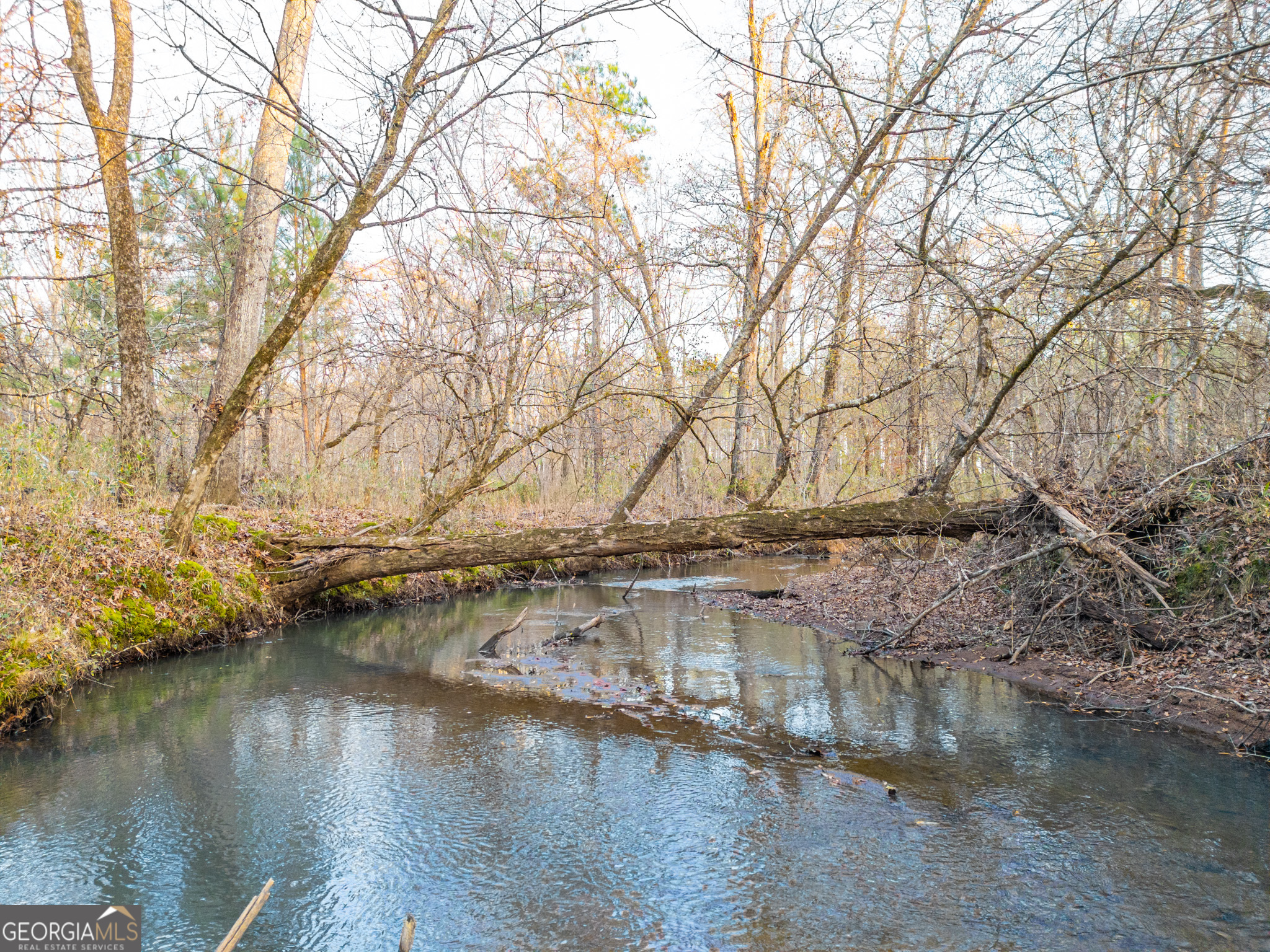 3 Smith Rocky Branch Road Carlton GA 30627