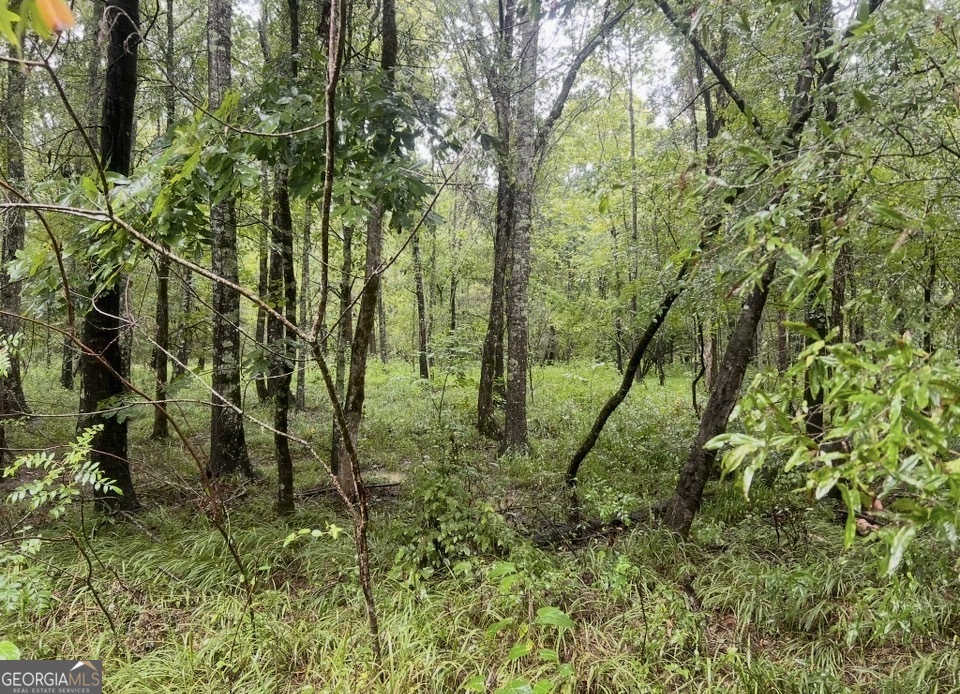 3 Smith Rocky Branch Road Carlton GA 30627