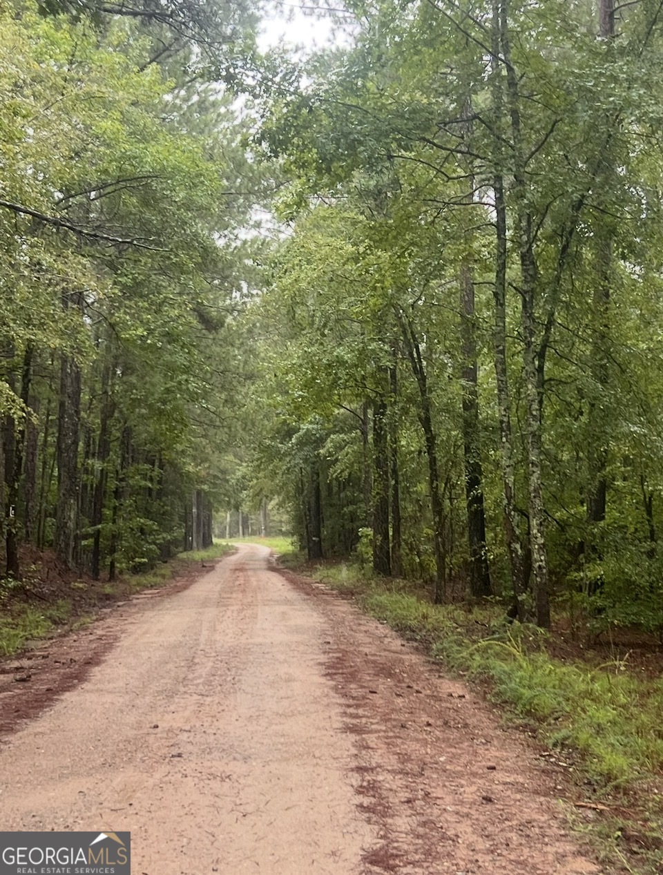 3 Smith Rocky Branch Road Carlton GA 30627
