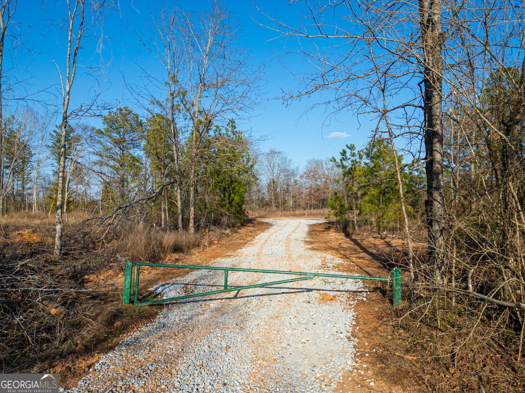 3 Smith Rocky Branch Road Carlton GA 30627
