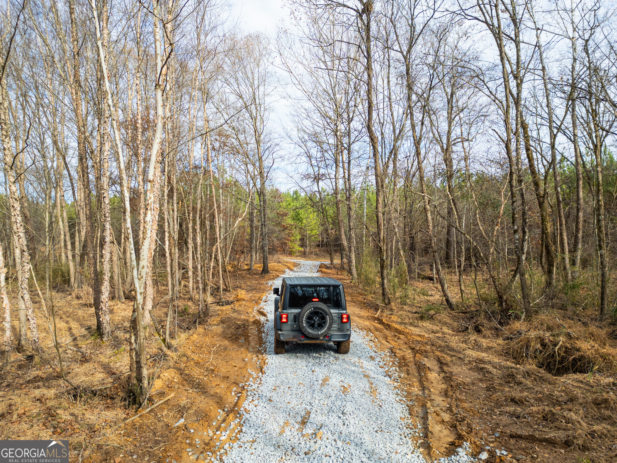 3 Smith Rocky Branch Road Carlton GA 30627