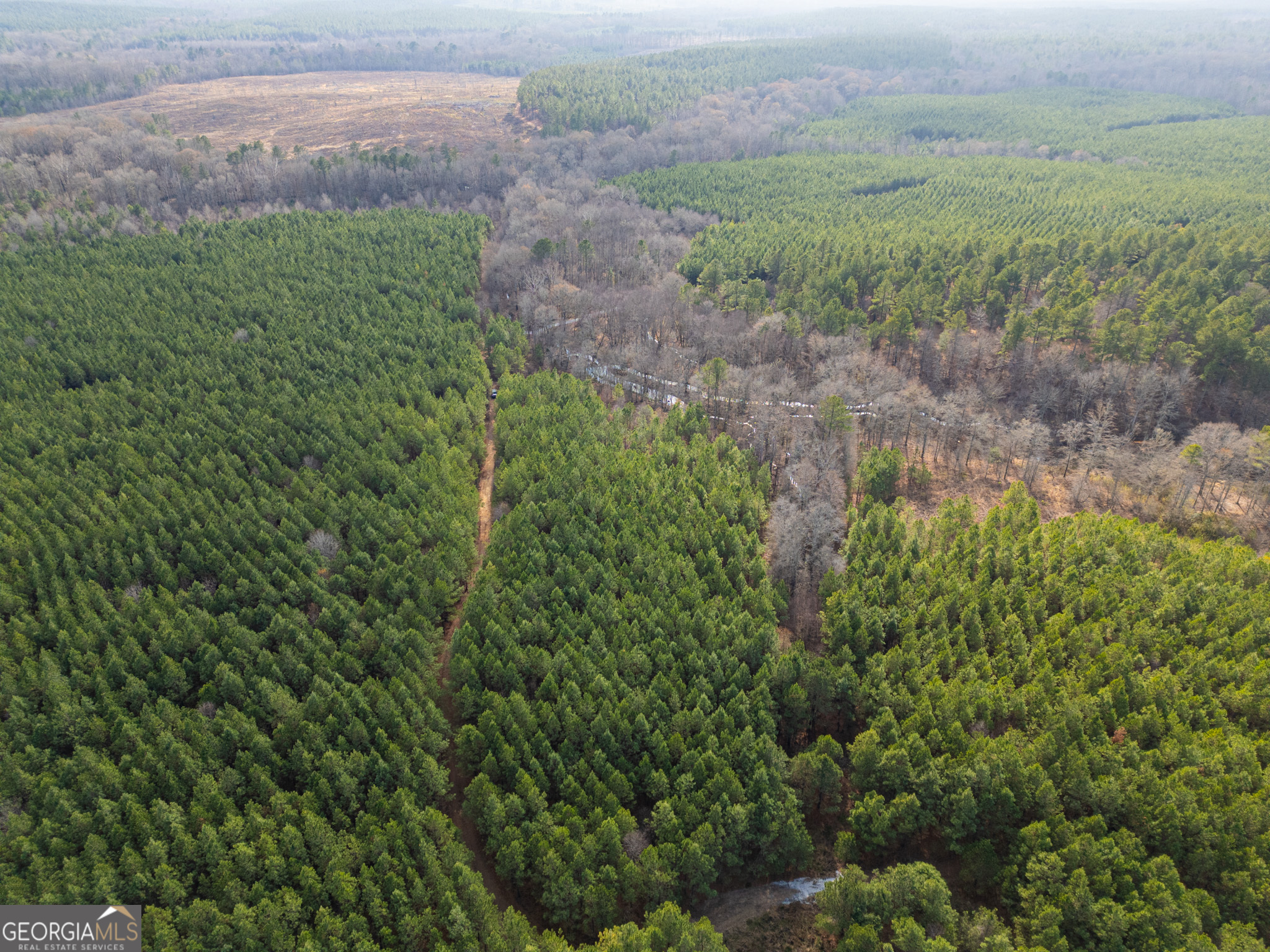 3 Smith Rocky Branch Road Carlton GA 30627