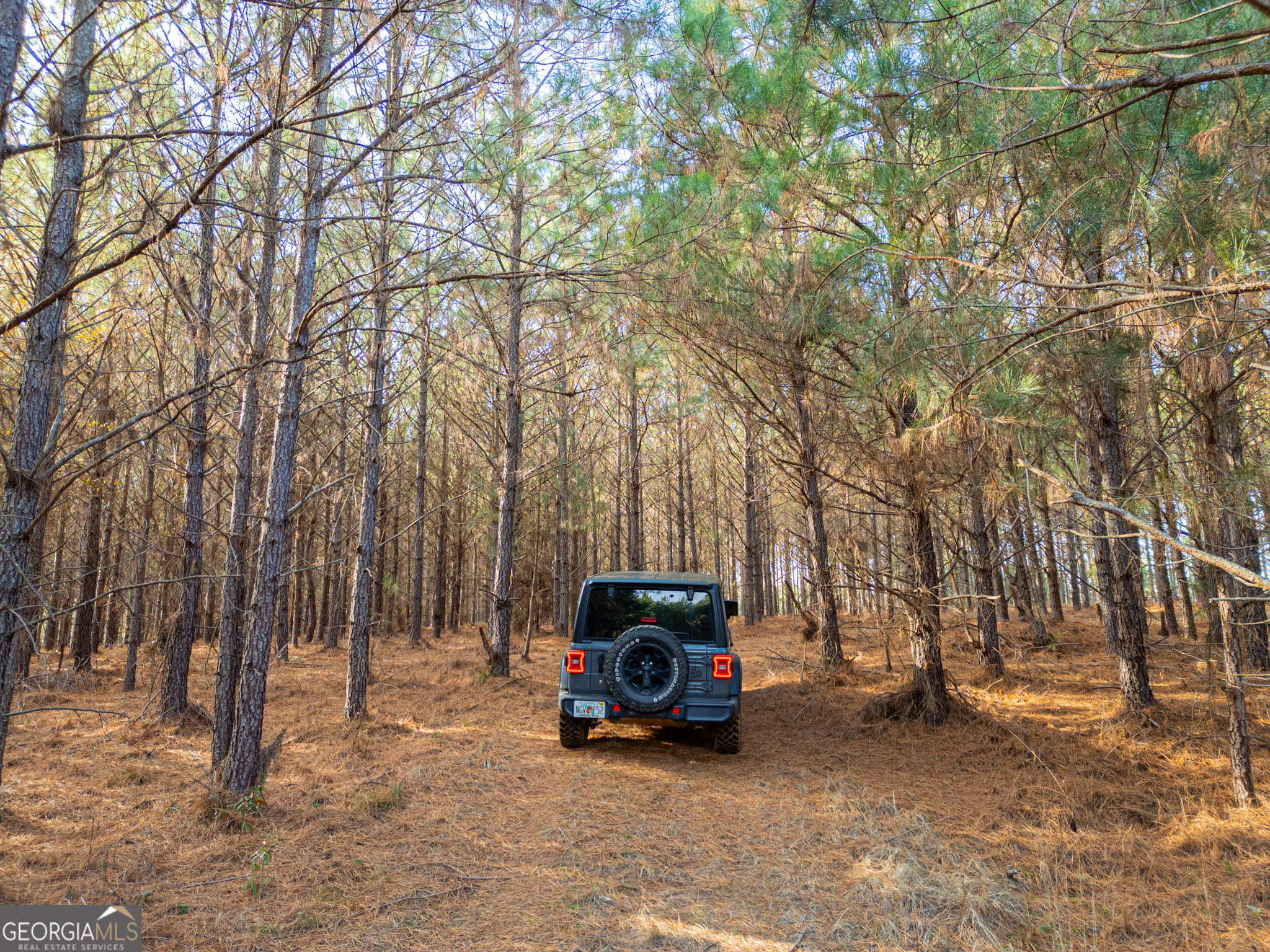 3 Smith Rocky Branch Road Carlton GA 30627
