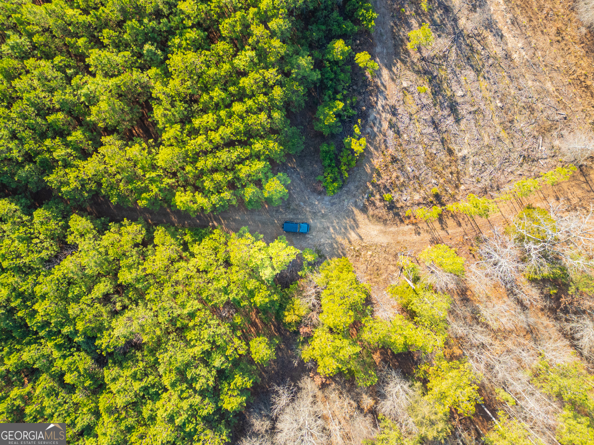 3 Smith Rocky Branch Road Carlton GA 30627