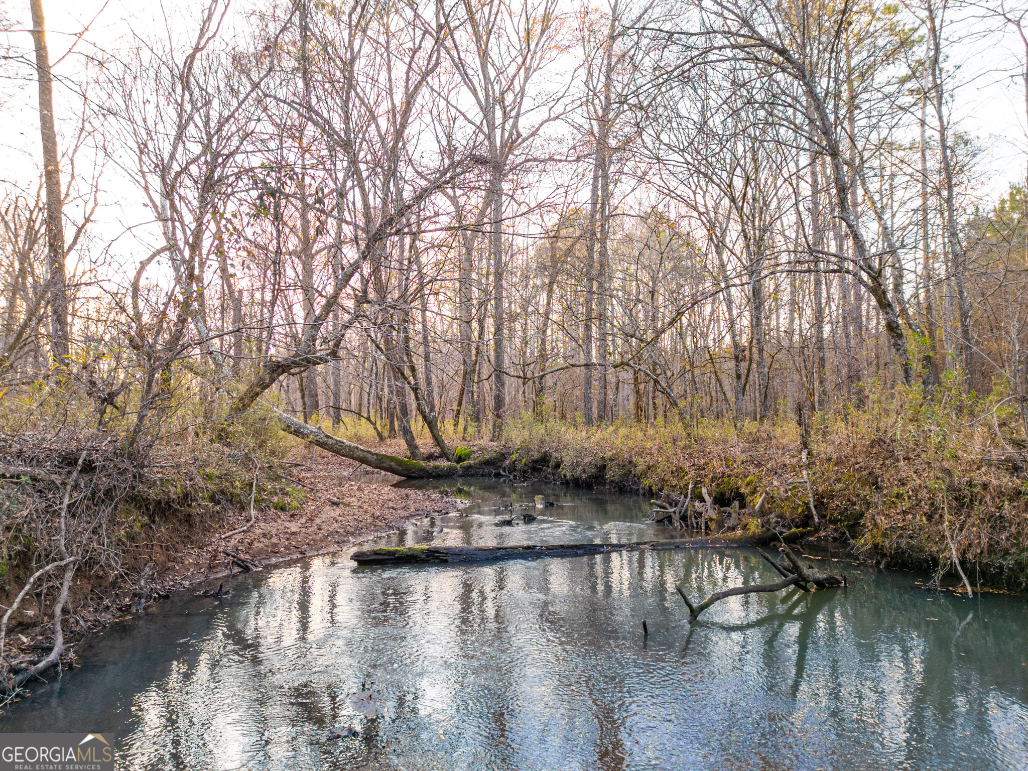 3 Smith Rocky Branch Road Carlton GA 30627