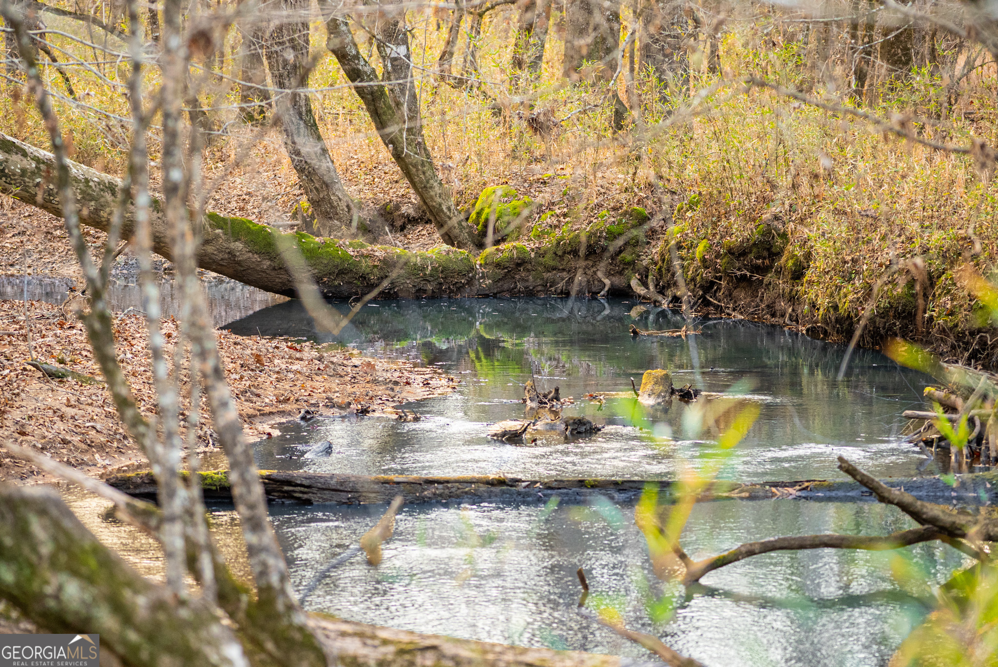3 Smith Rocky Branch Road Carlton GA 30627