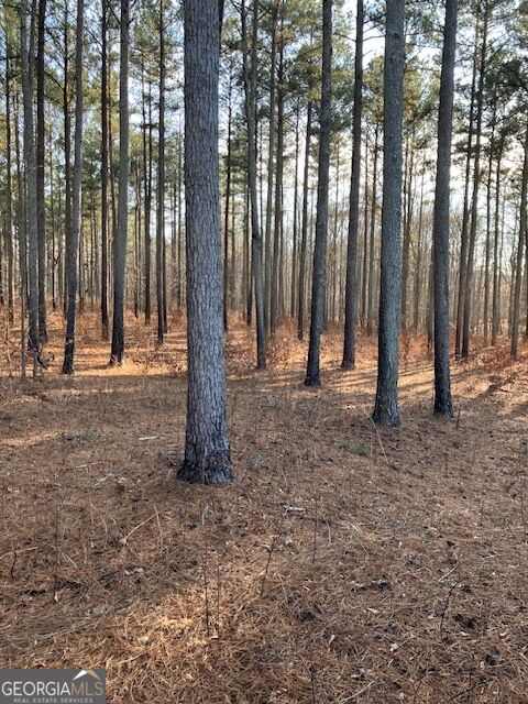 280 Woodville Philomath Road Rayle GA 30660