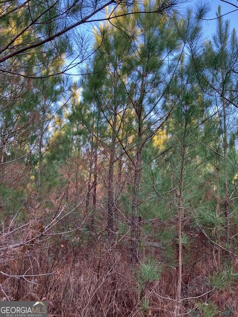 280 Woodville Philomath Road Rayle GA 30660