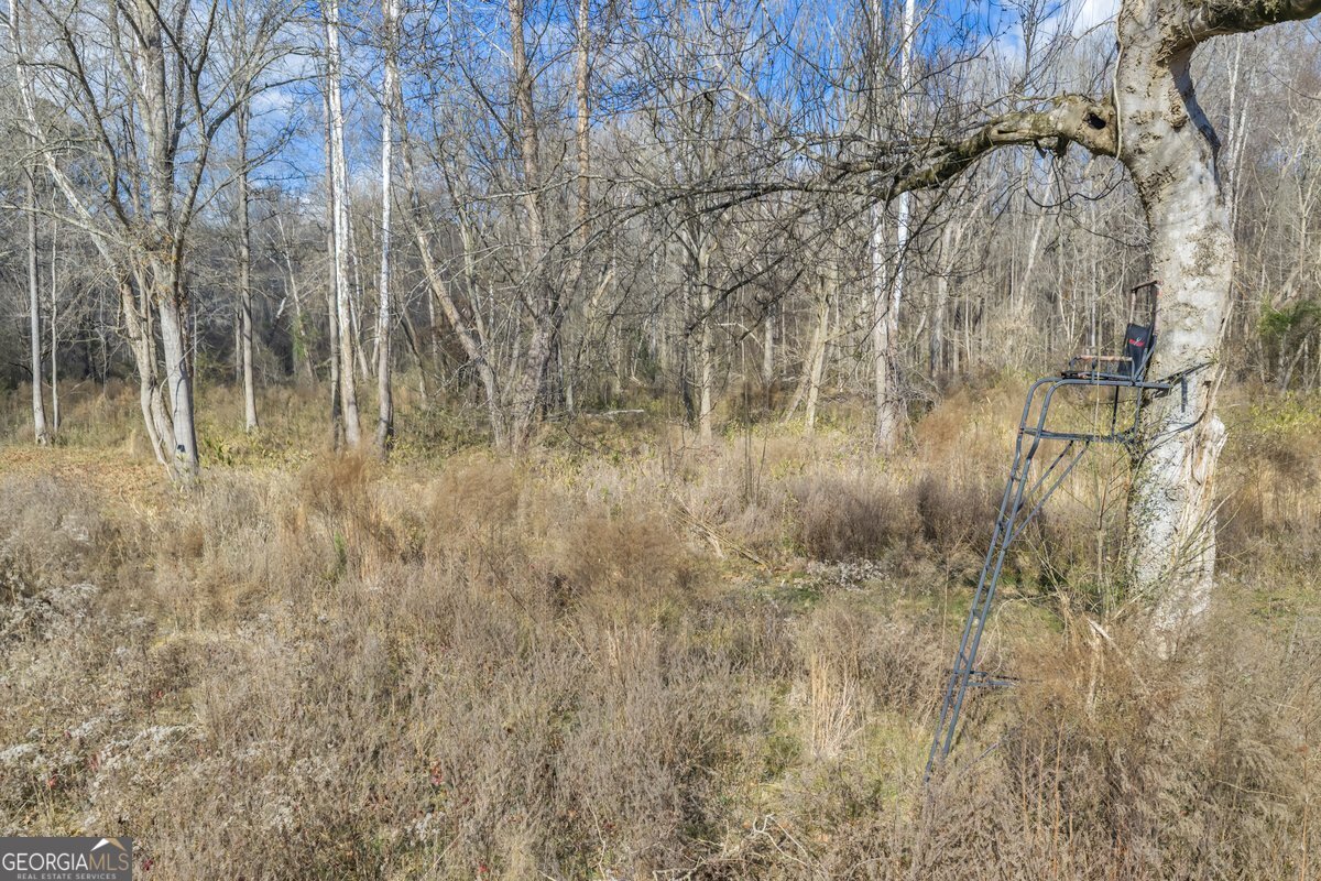 0 Abercrombie Road Forsyth GA 31029