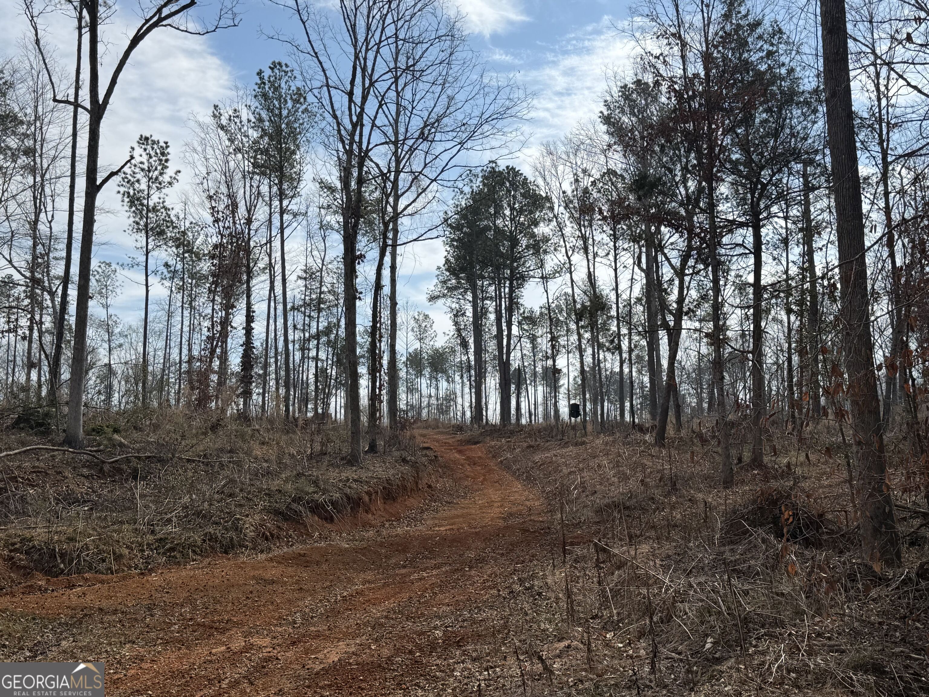 275 Emma Cooper Road Carlton GA 30627