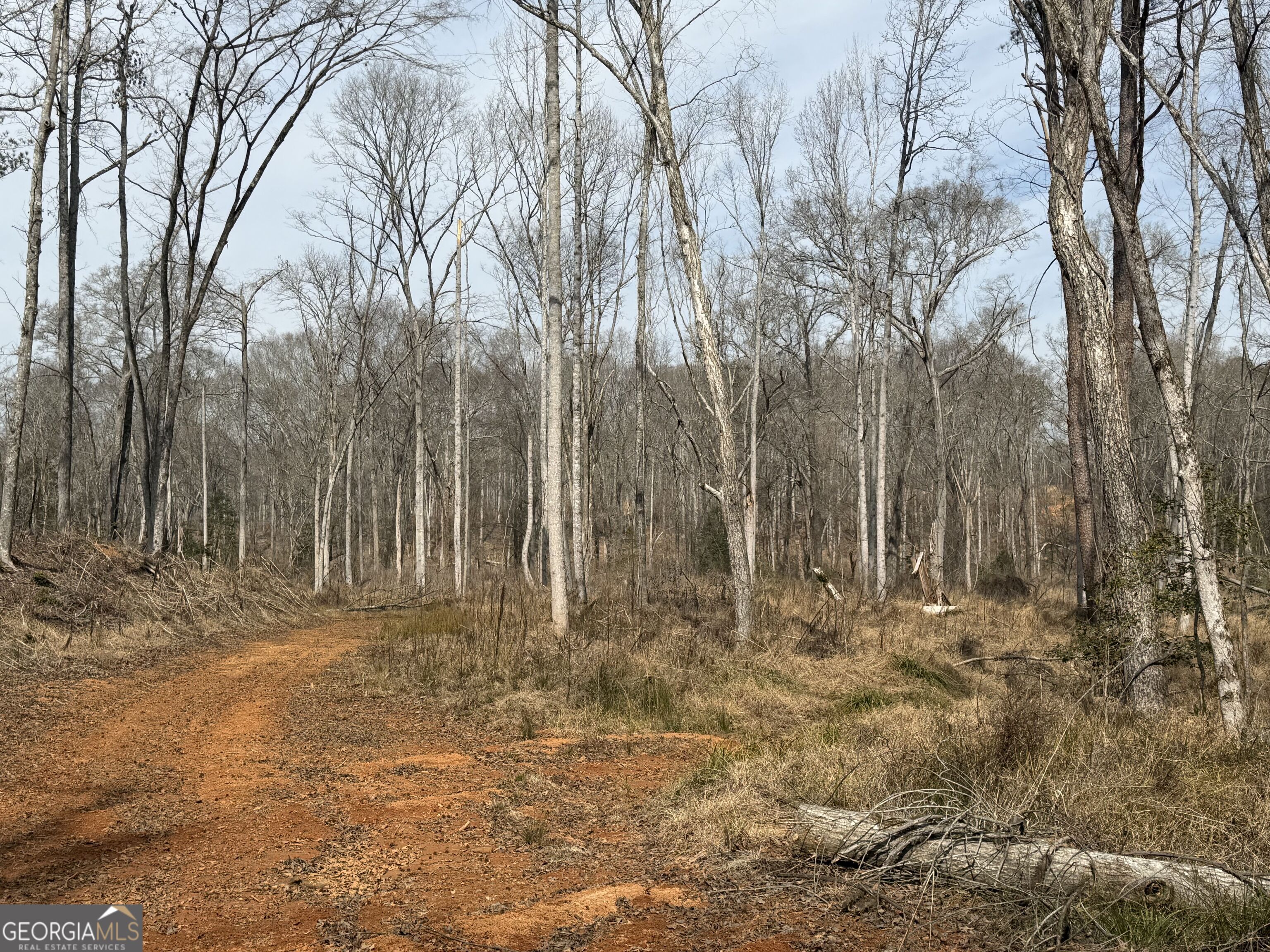 275 Emma Cooper Road Carlton GA 30627