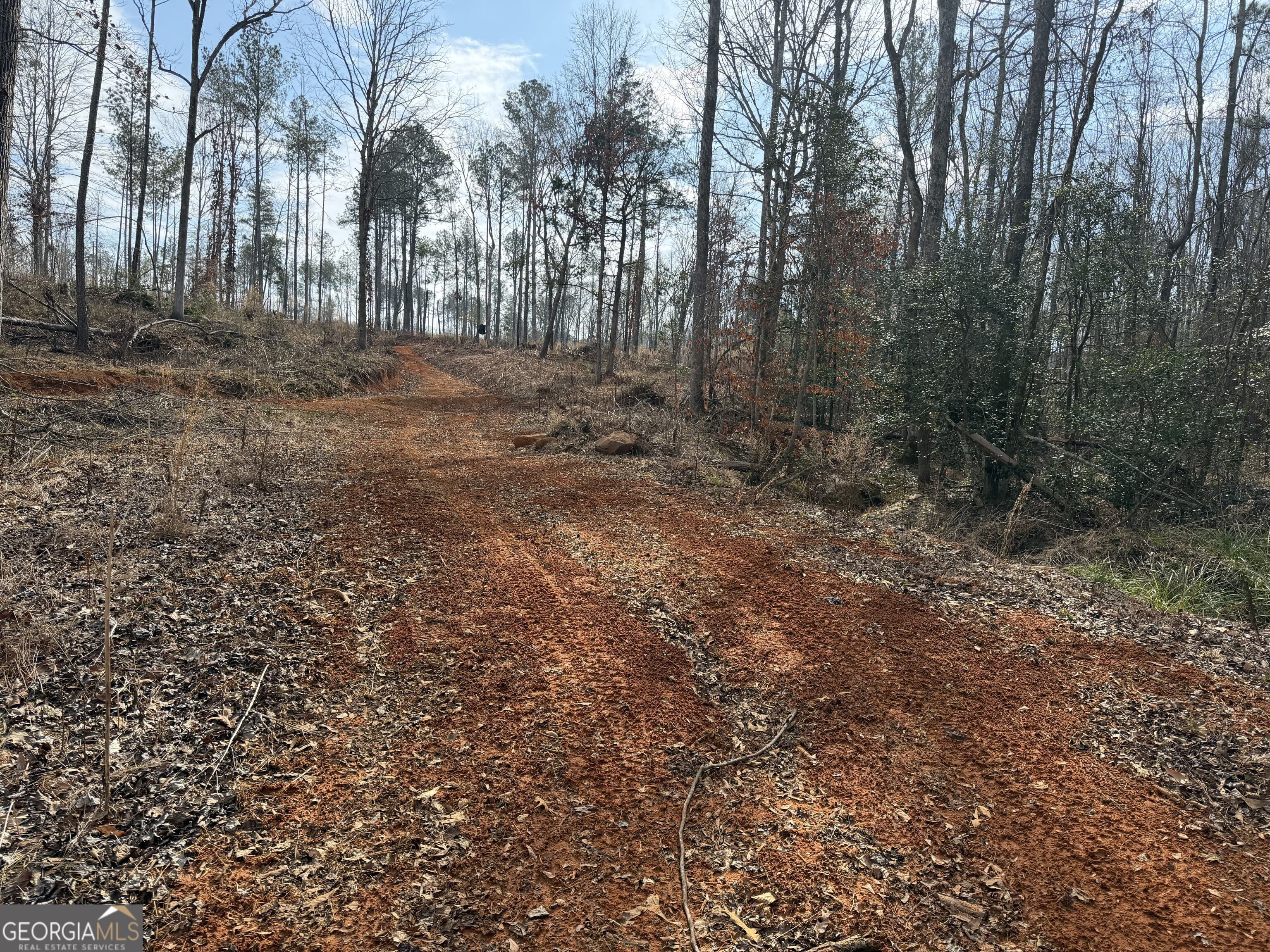 275 Emma Cooper Road Carlton GA 30627