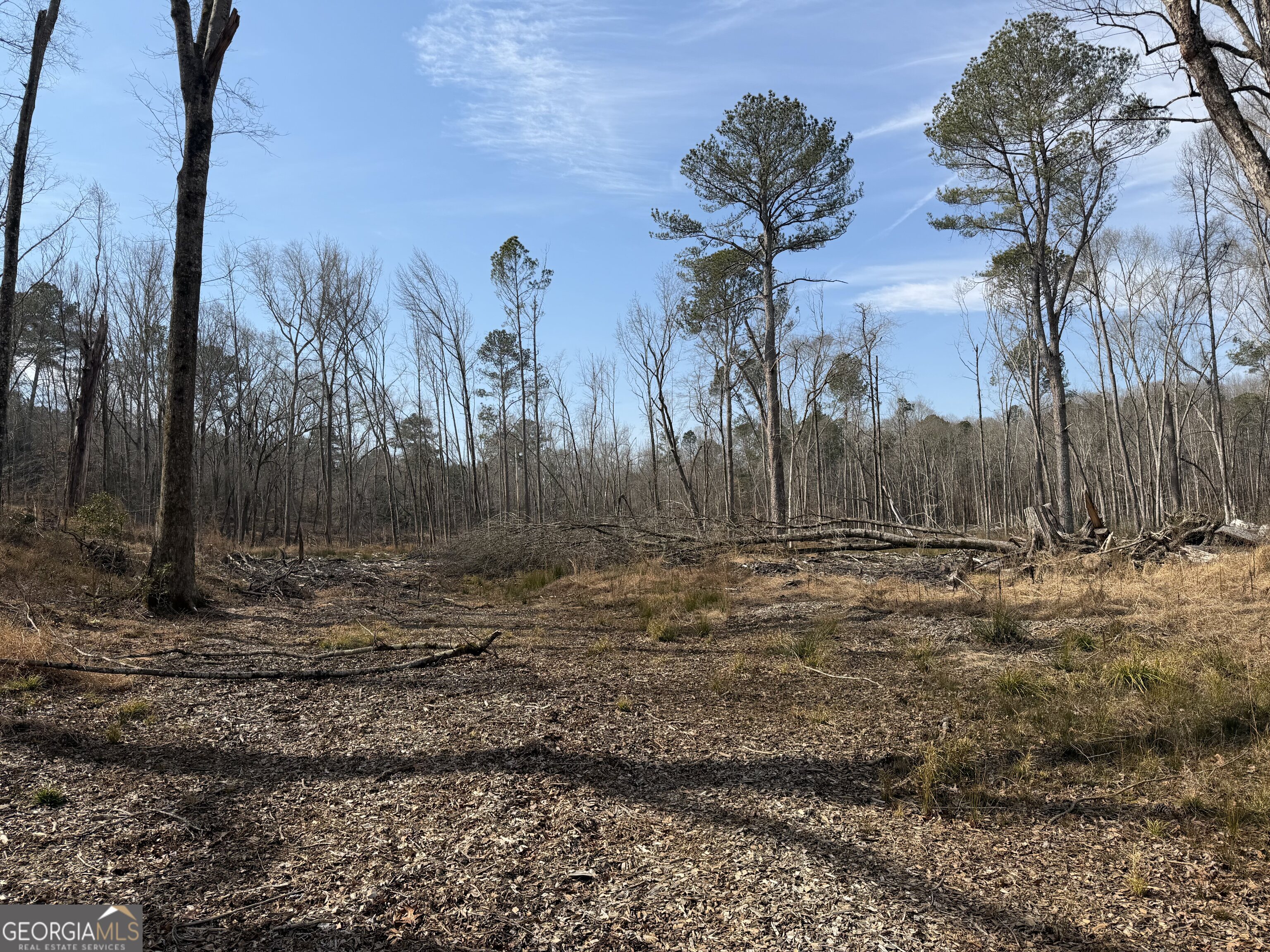 275 Emma Cooper Road Carlton GA 30627