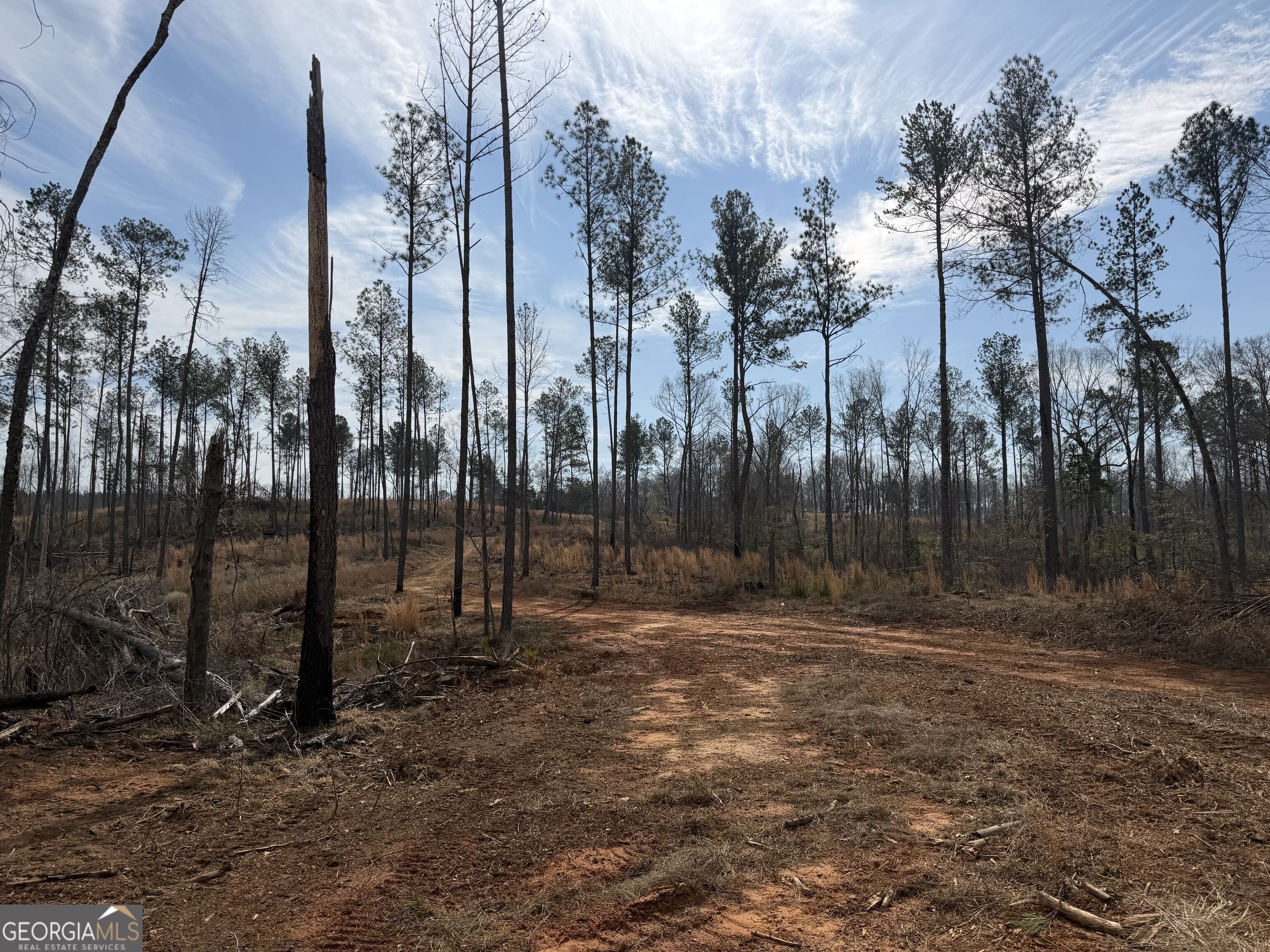 275 Emma Cooper Road Carlton GA 30627