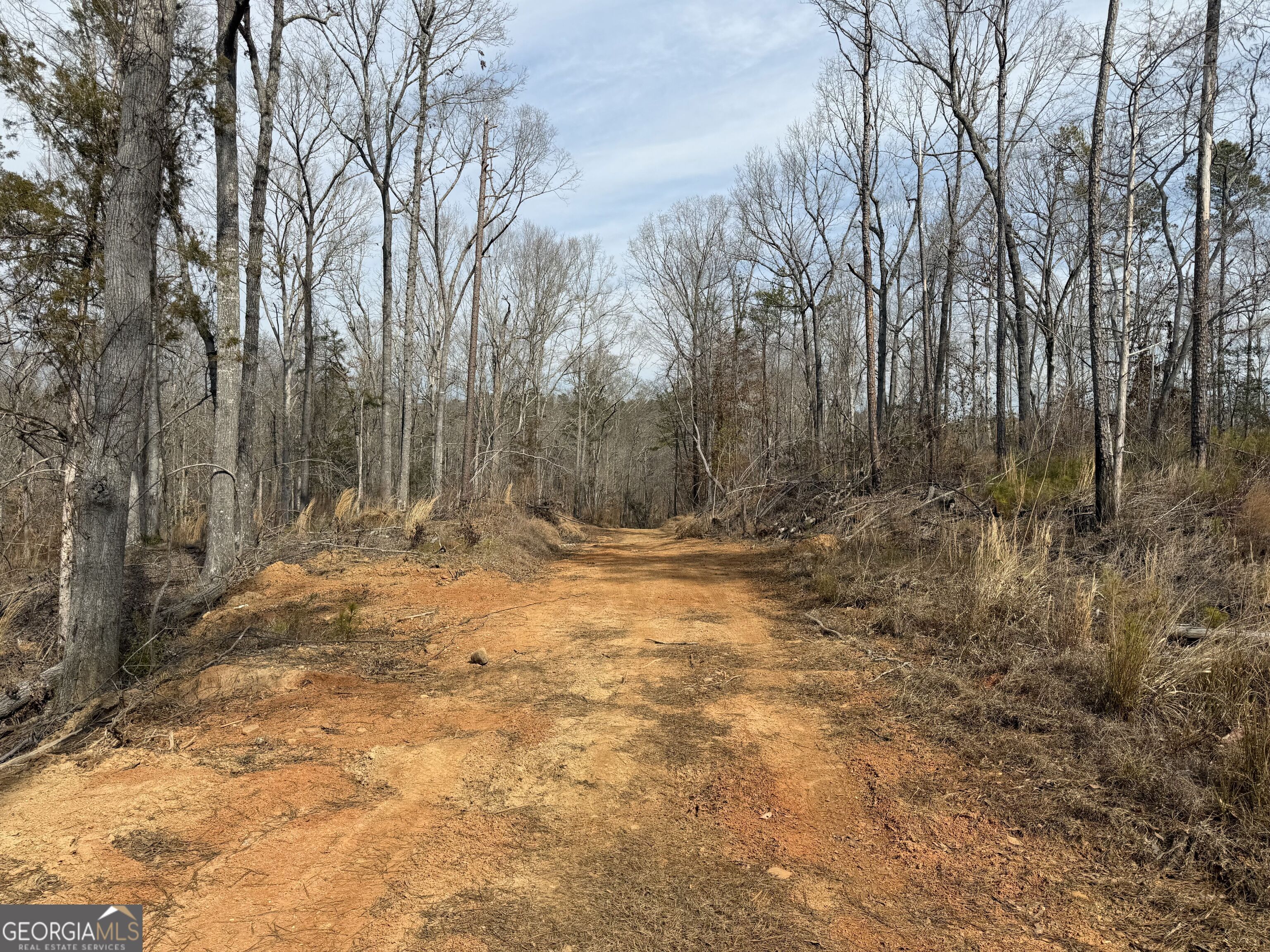 275 Emma Cooper Road Carlton GA 30627
