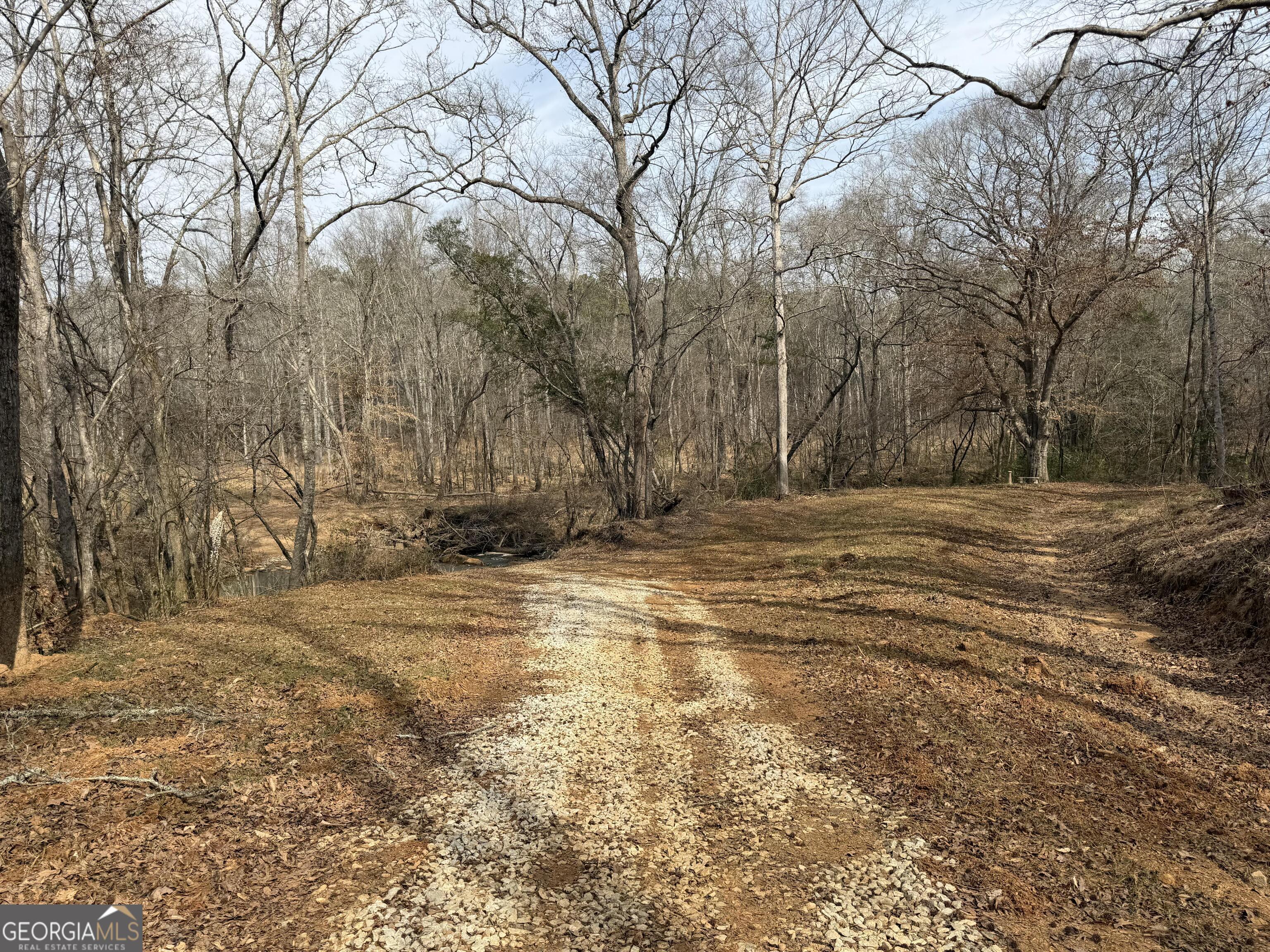 275 Emma Cooper Road Carlton GA 30627