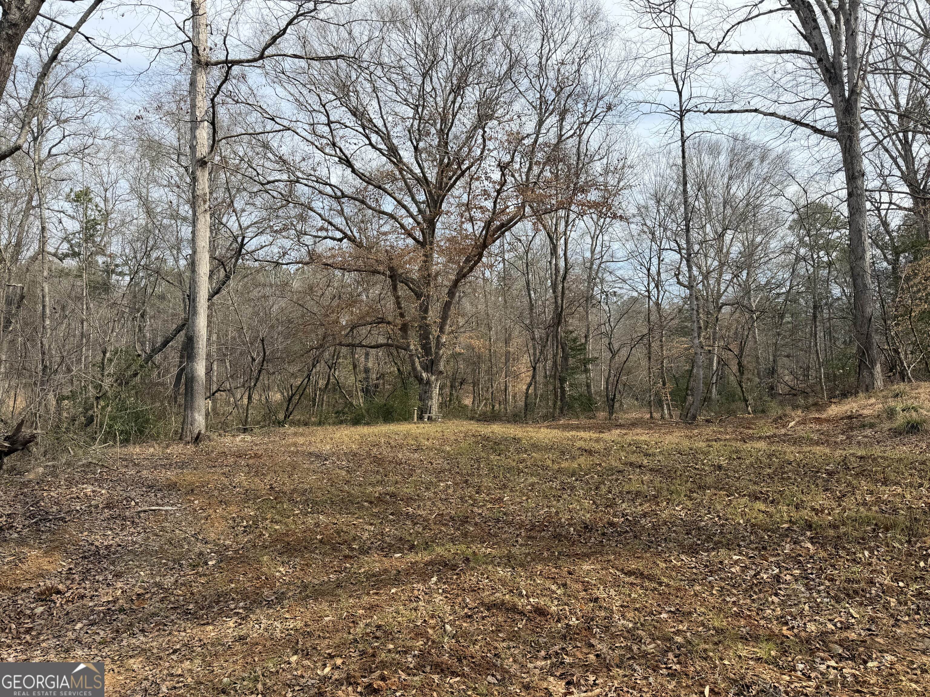 275 Emma Cooper Road Carlton GA 30627