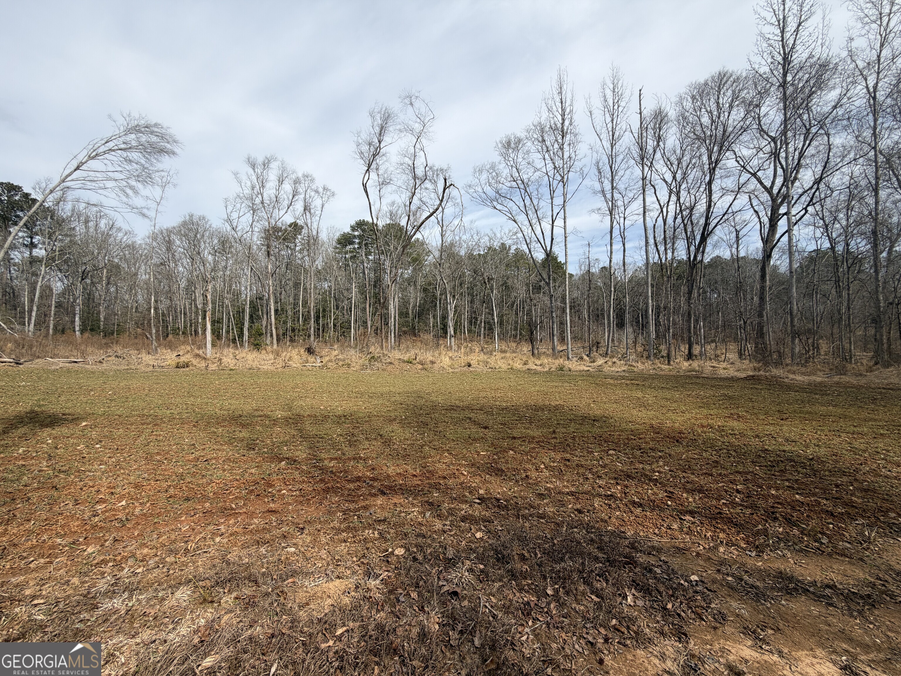 275 Emma Cooper Road Carlton GA 30627