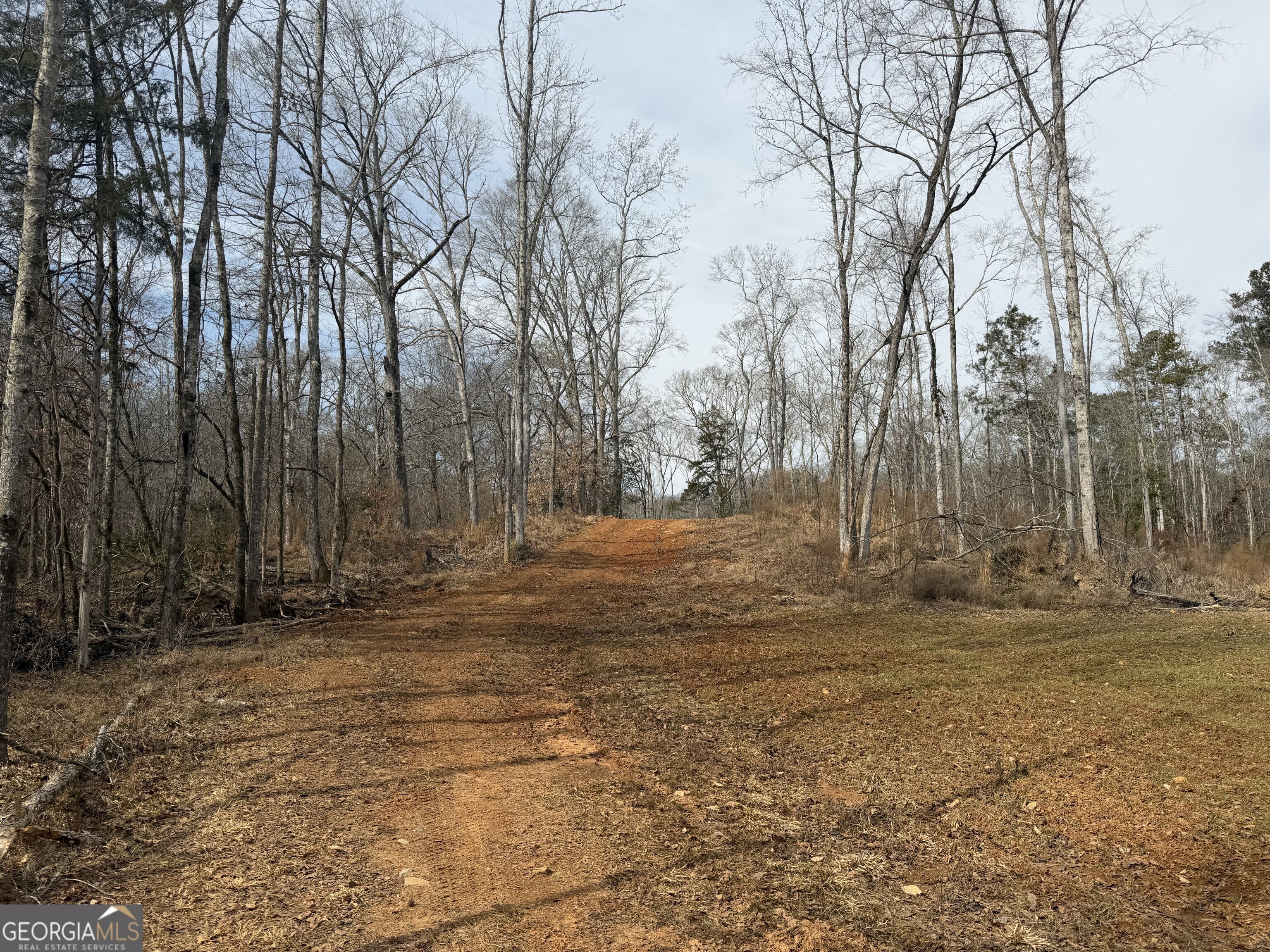 275 Emma Cooper Road Carlton GA 30627