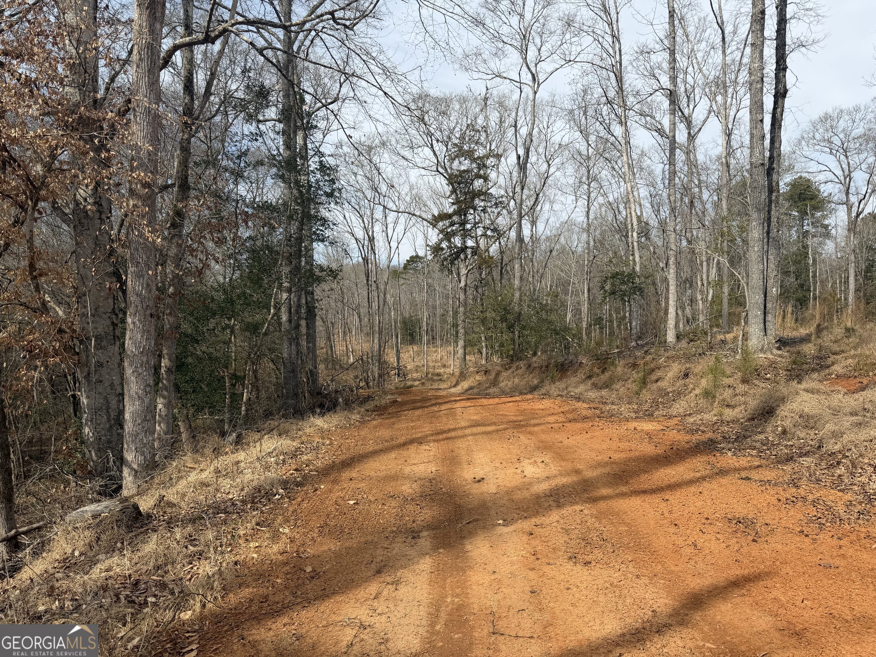275 Emma Cooper Road Carlton GA 30627