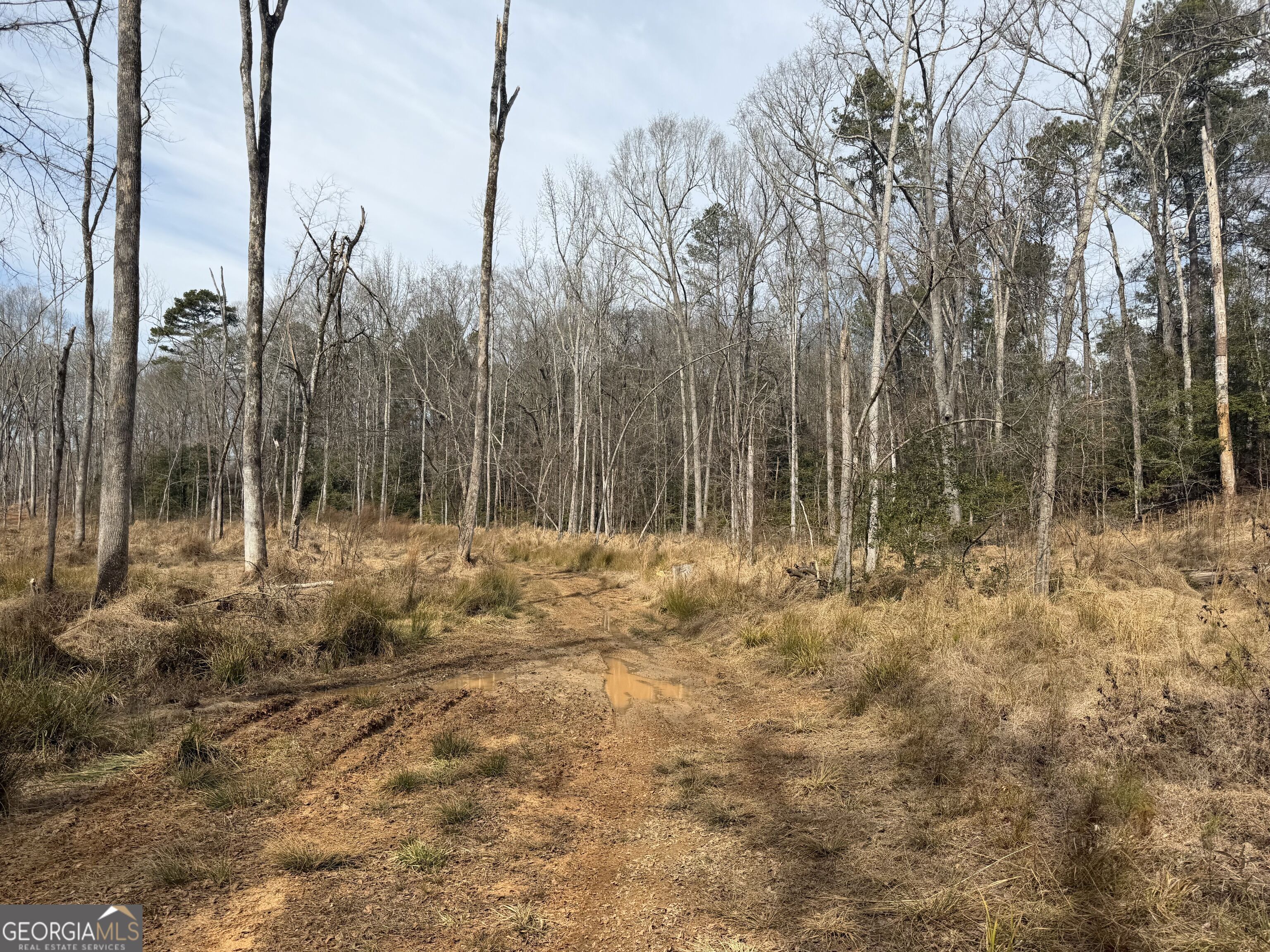 275 Emma Cooper Road Carlton GA 30627