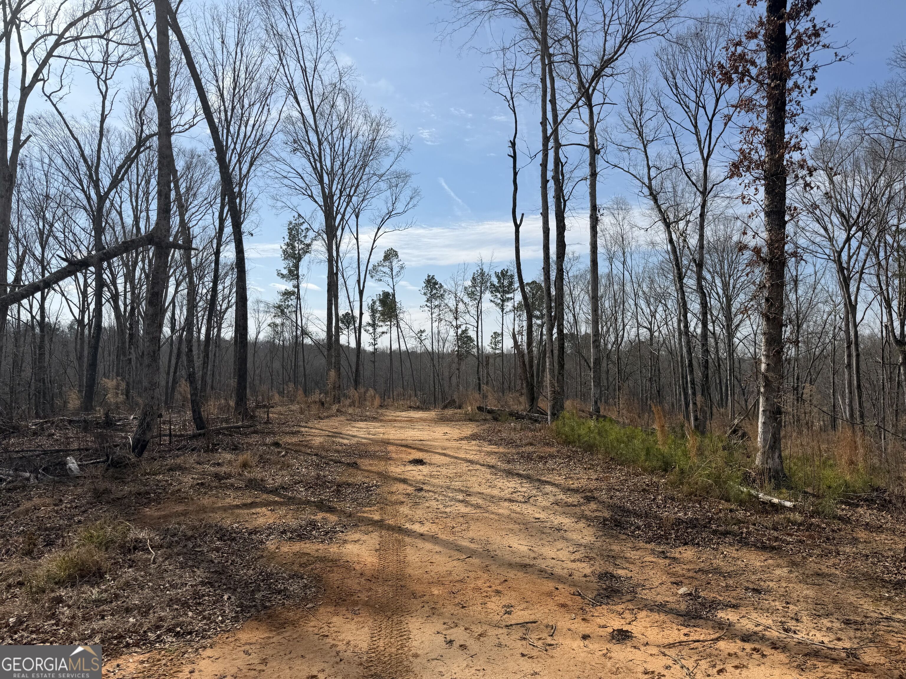 275 Emma Cooper Road Carlton GA 30627