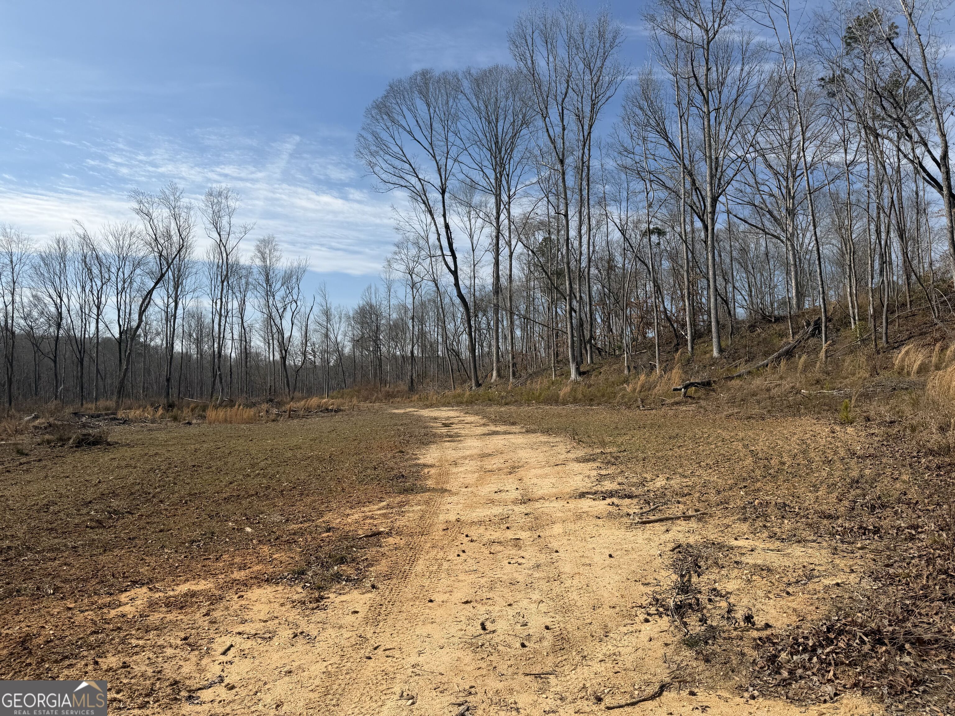 275 Emma Cooper Road Carlton GA 30627