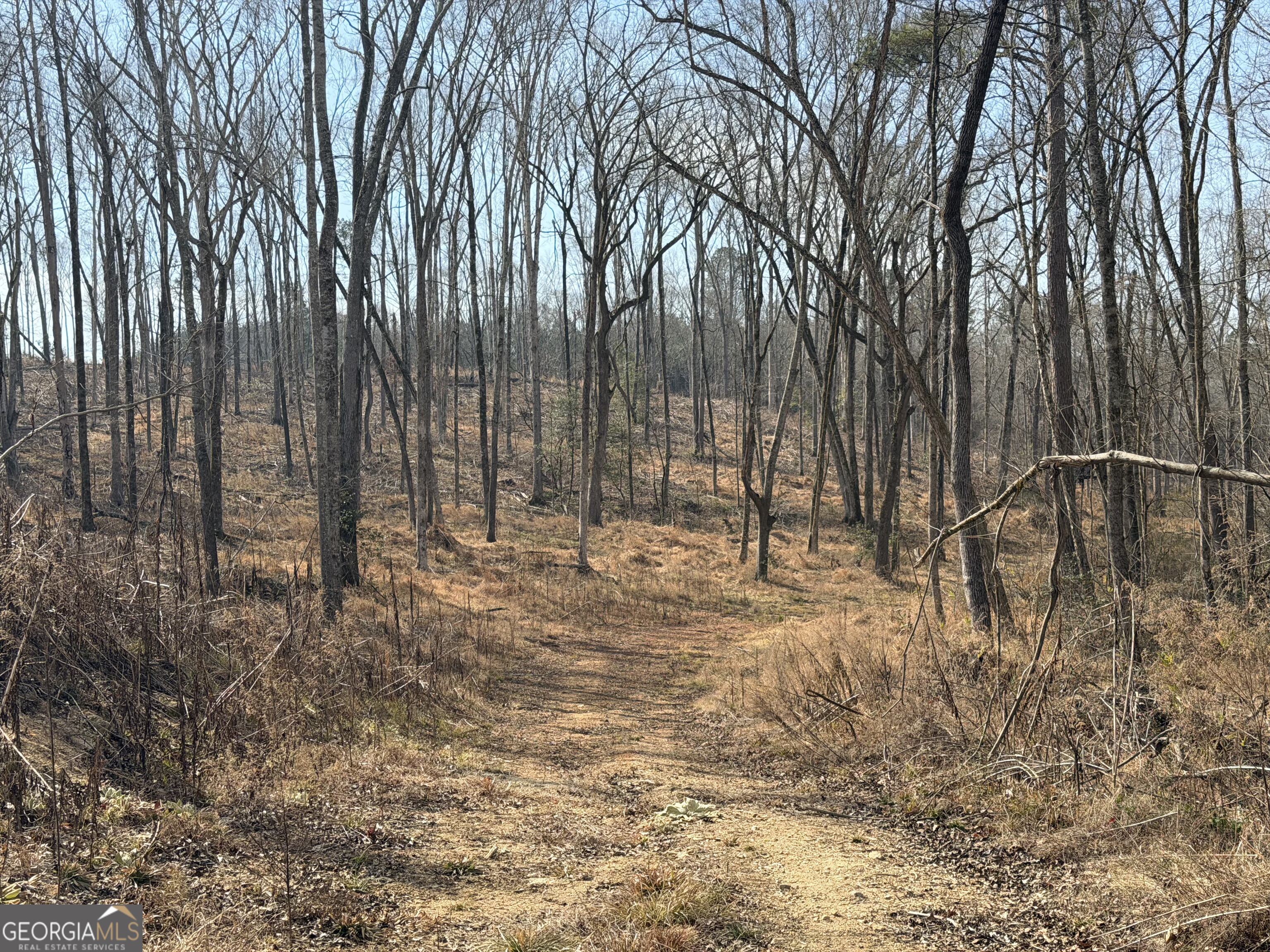 275 Emma Cooper Road Carlton GA 30627