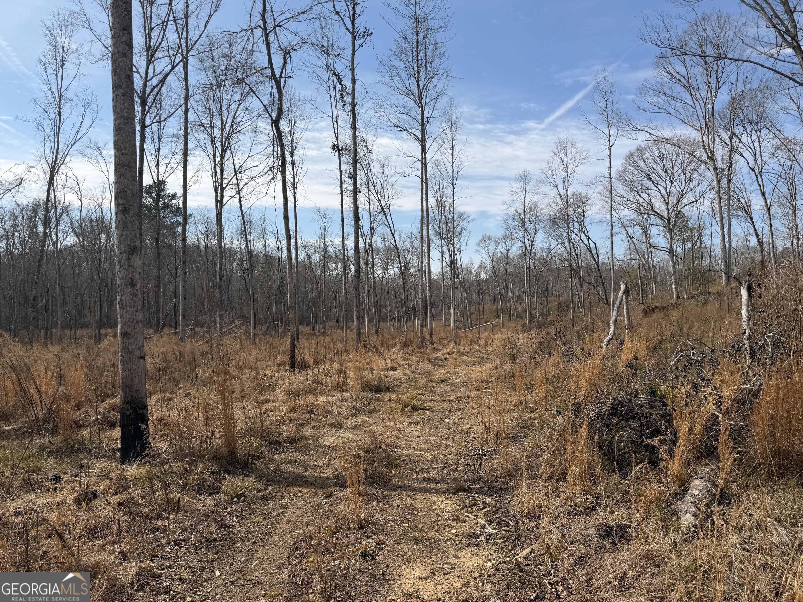 275 Emma Cooper Road Carlton GA 30627