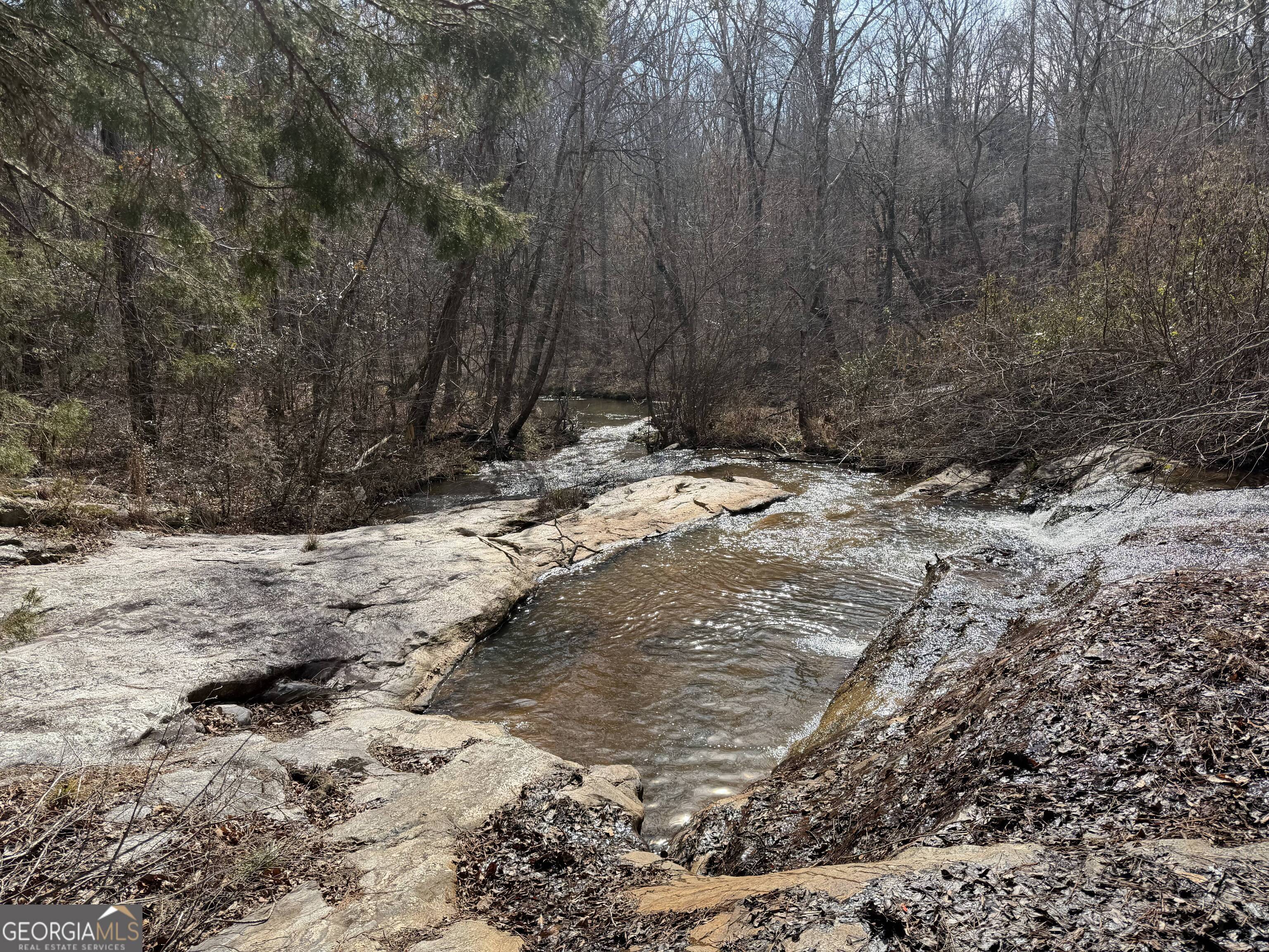 275 Emma Cooper Road Carlton GA 30627