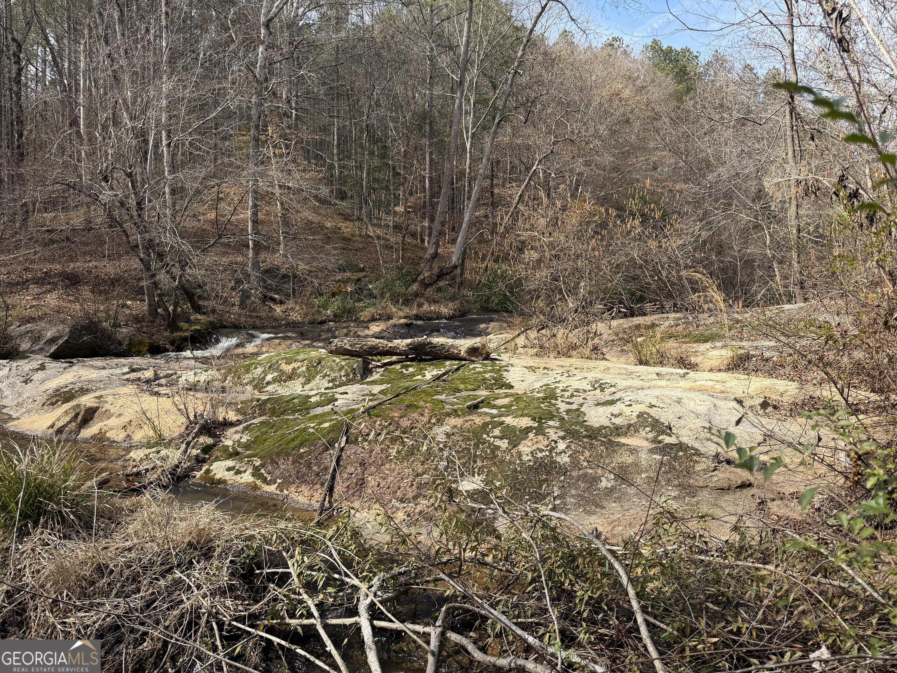 275 Emma Cooper Road Carlton GA 30627
