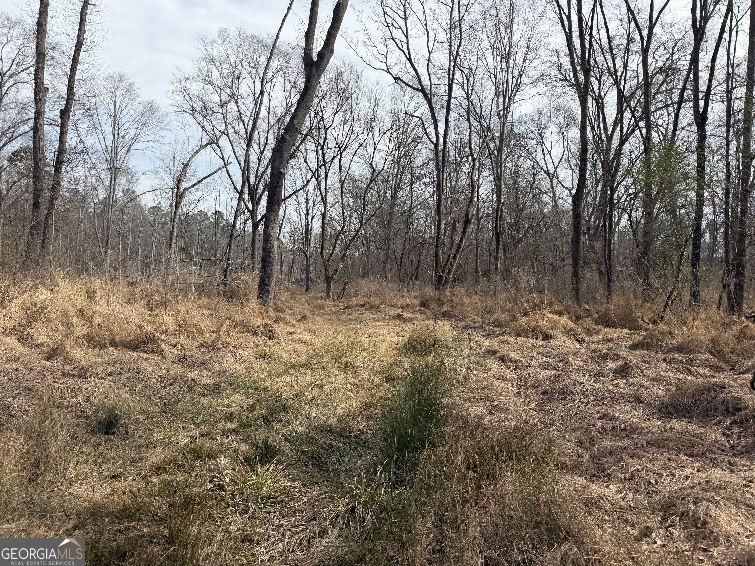 275 Emma Cooper Road Carlton GA 30627