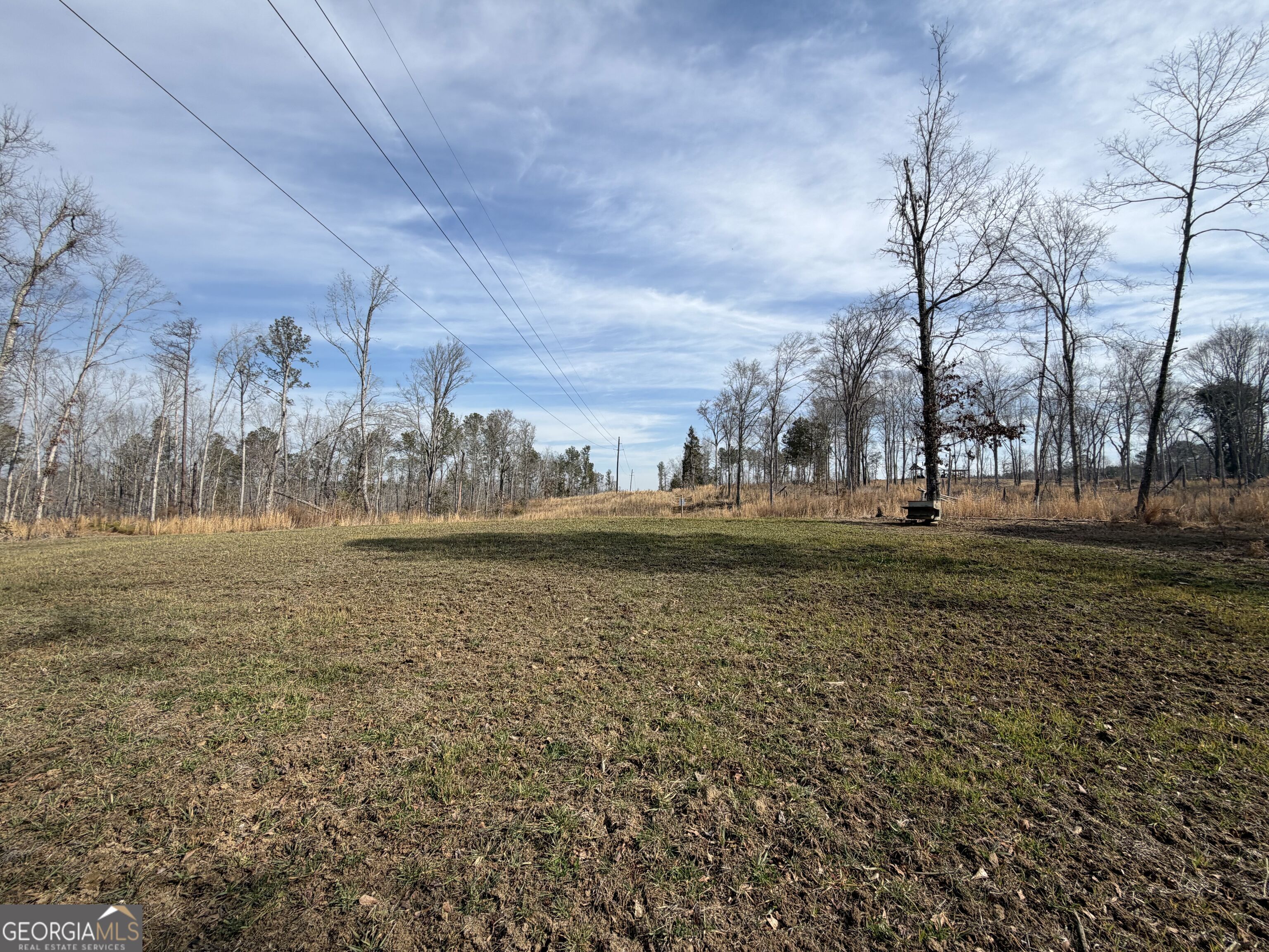 275 Emma Cooper Road Carlton GA 30627