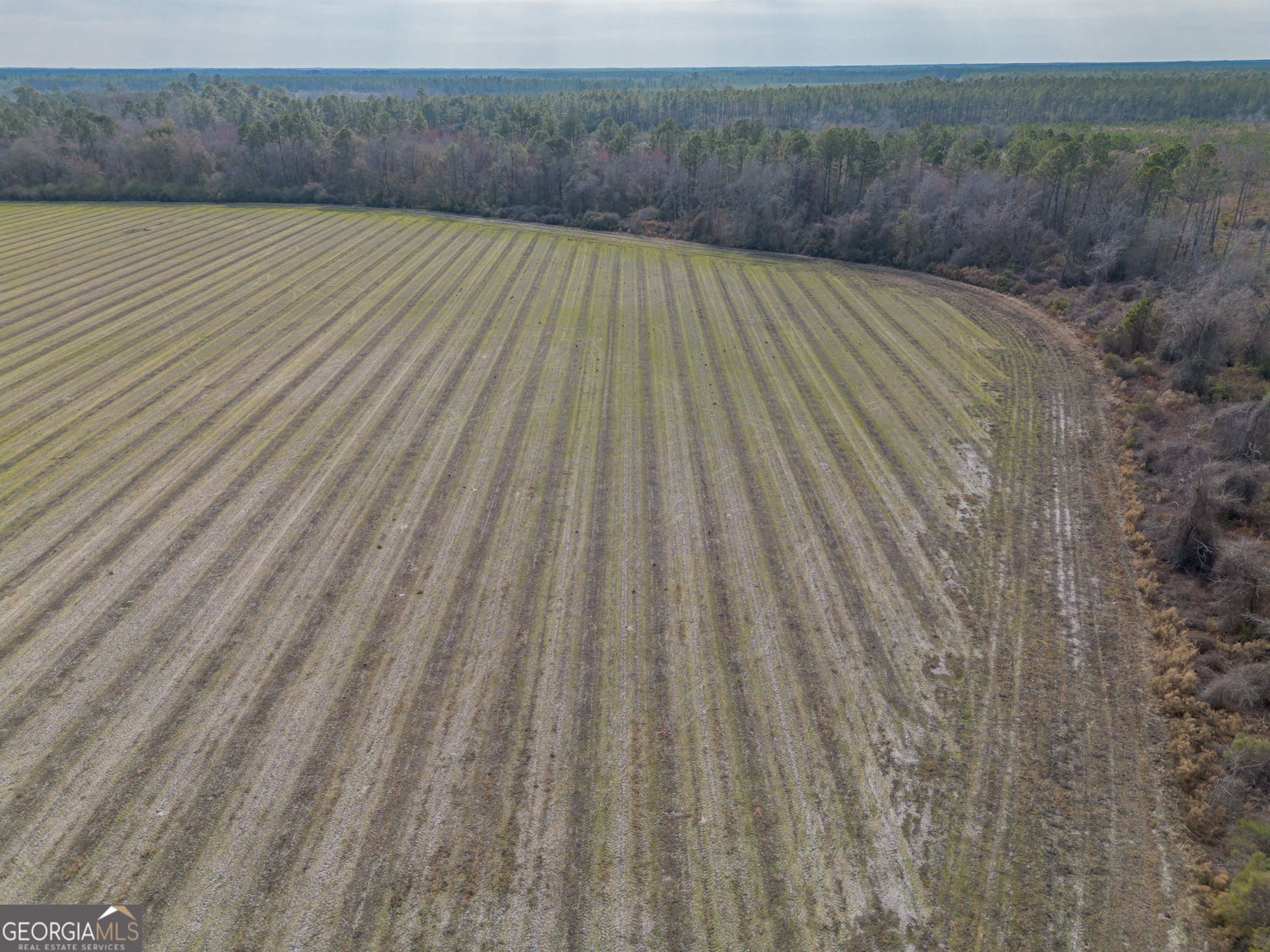 Tract 5 Reddish Road Odum GA 31555