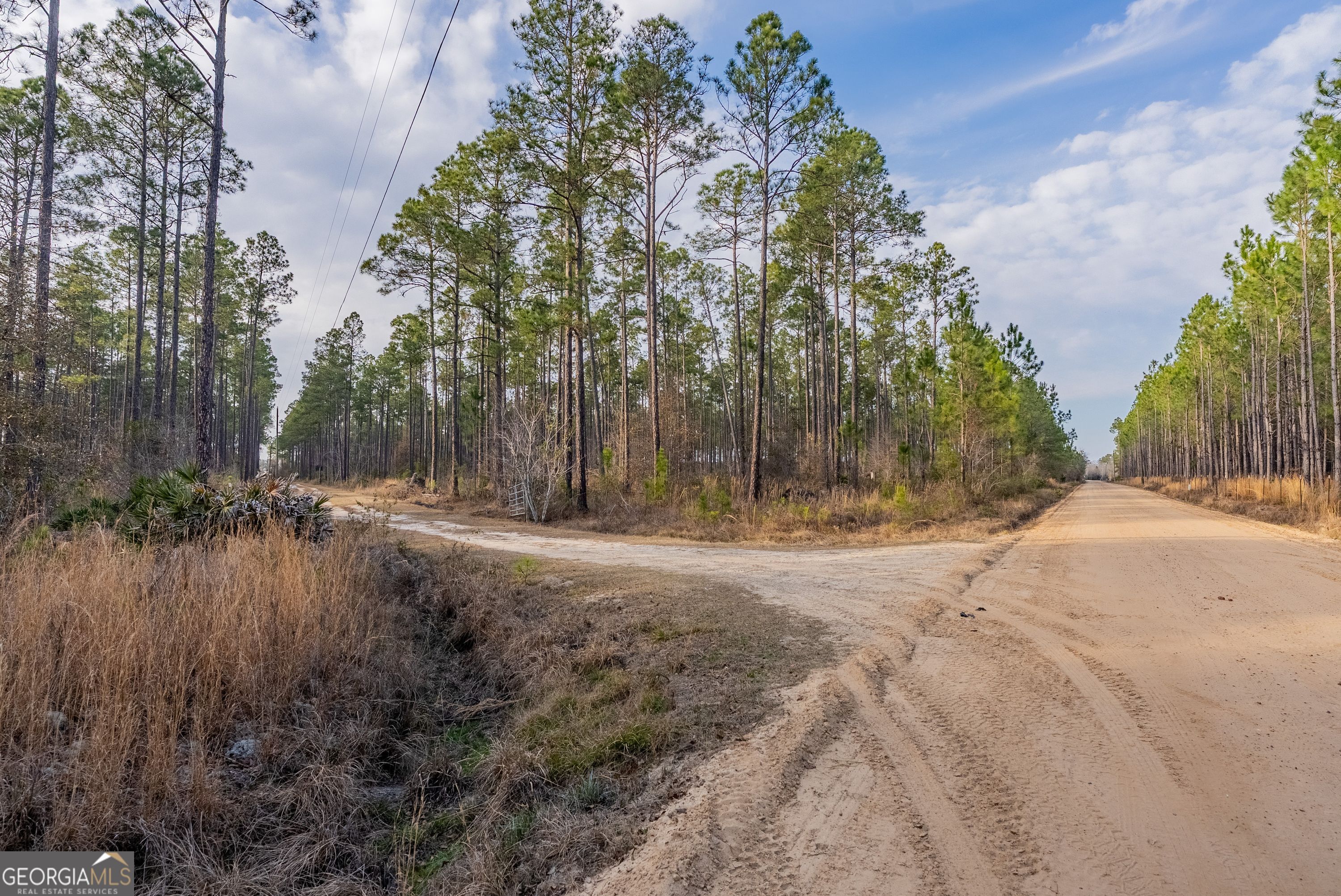 Tract 5 Reddish Road Odum GA 31555