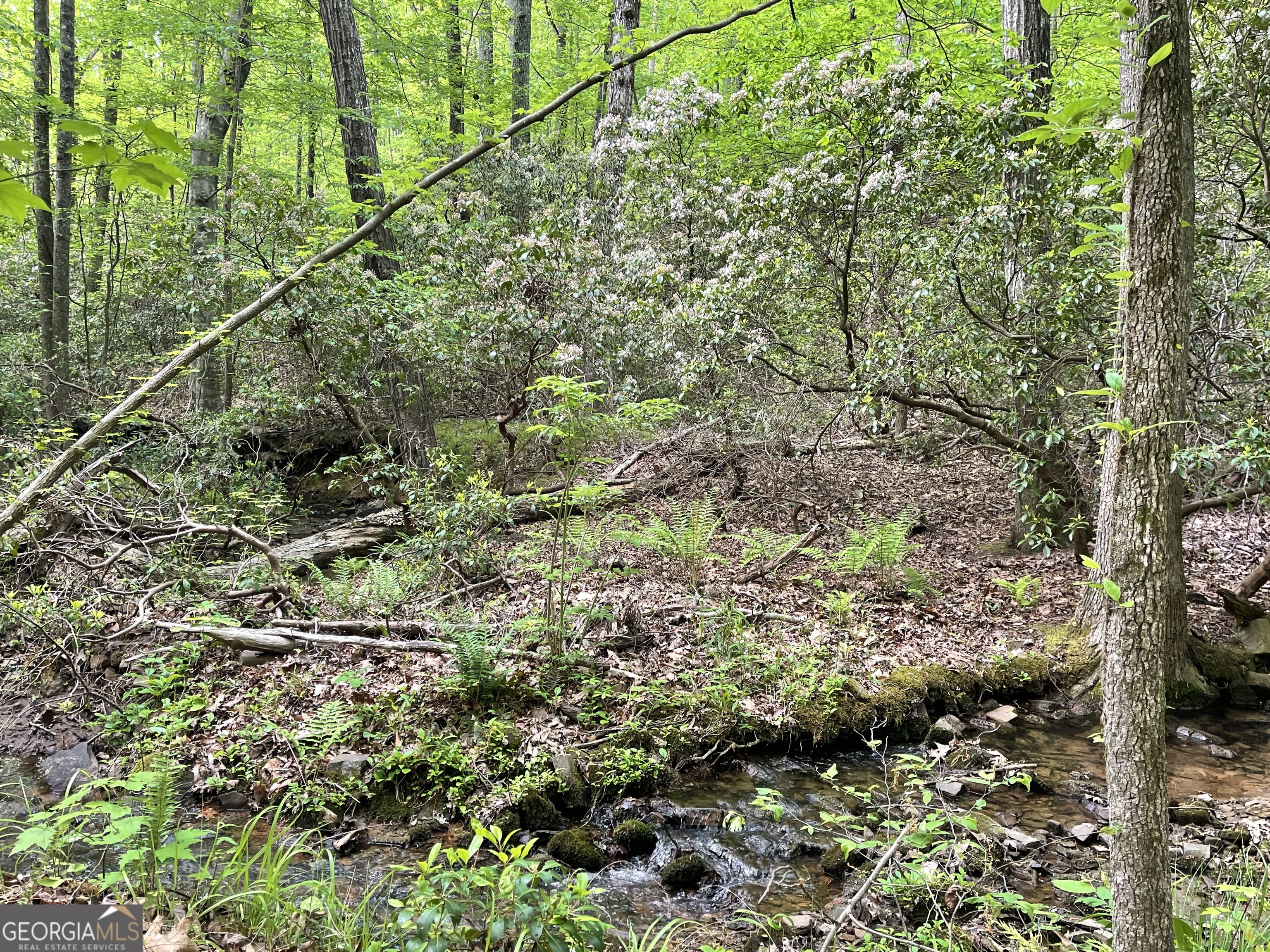 0 Everett Springs Road Armuchee GA 30105