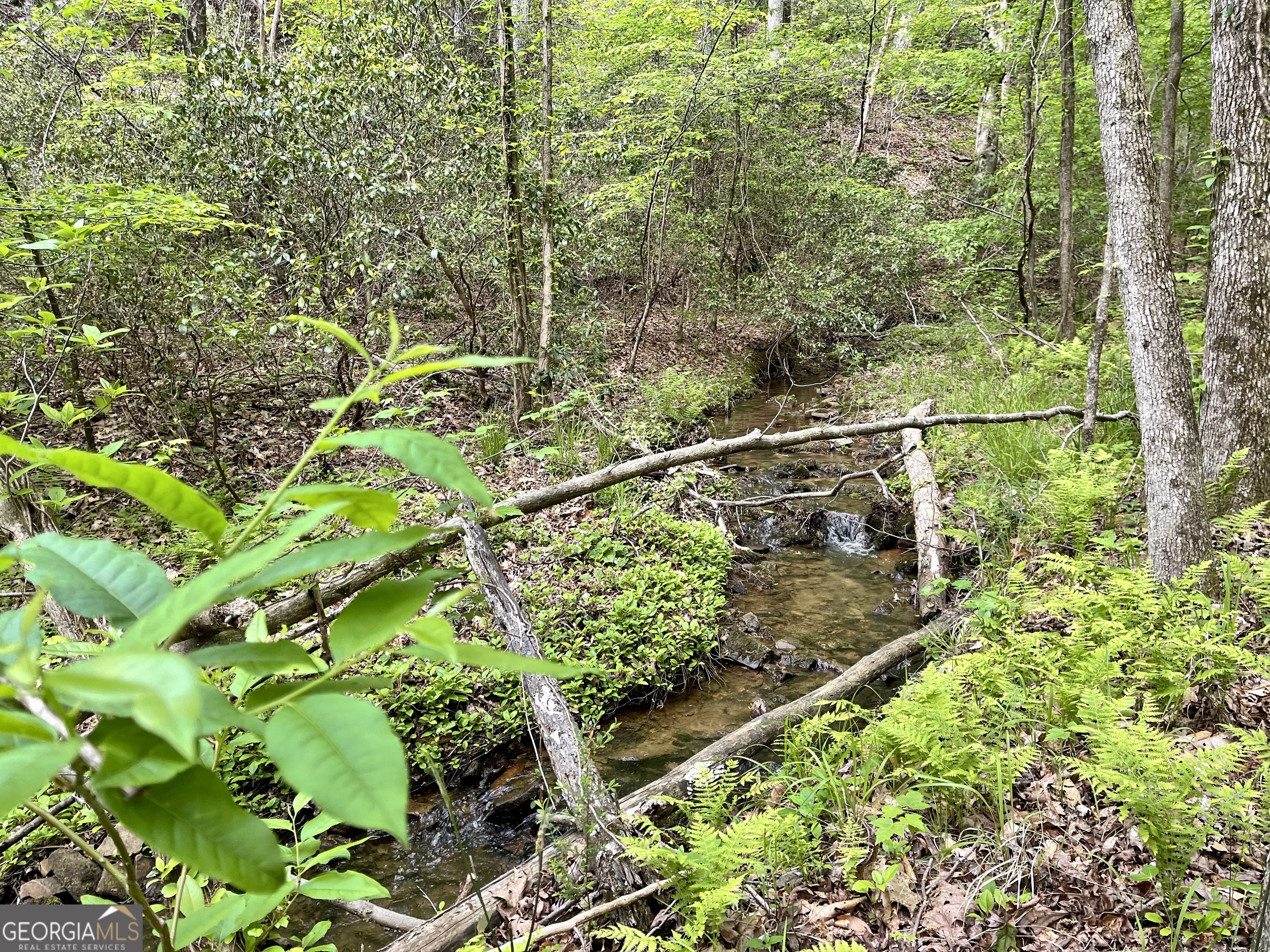 0 Everett Springs Road Armuchee GA 30105