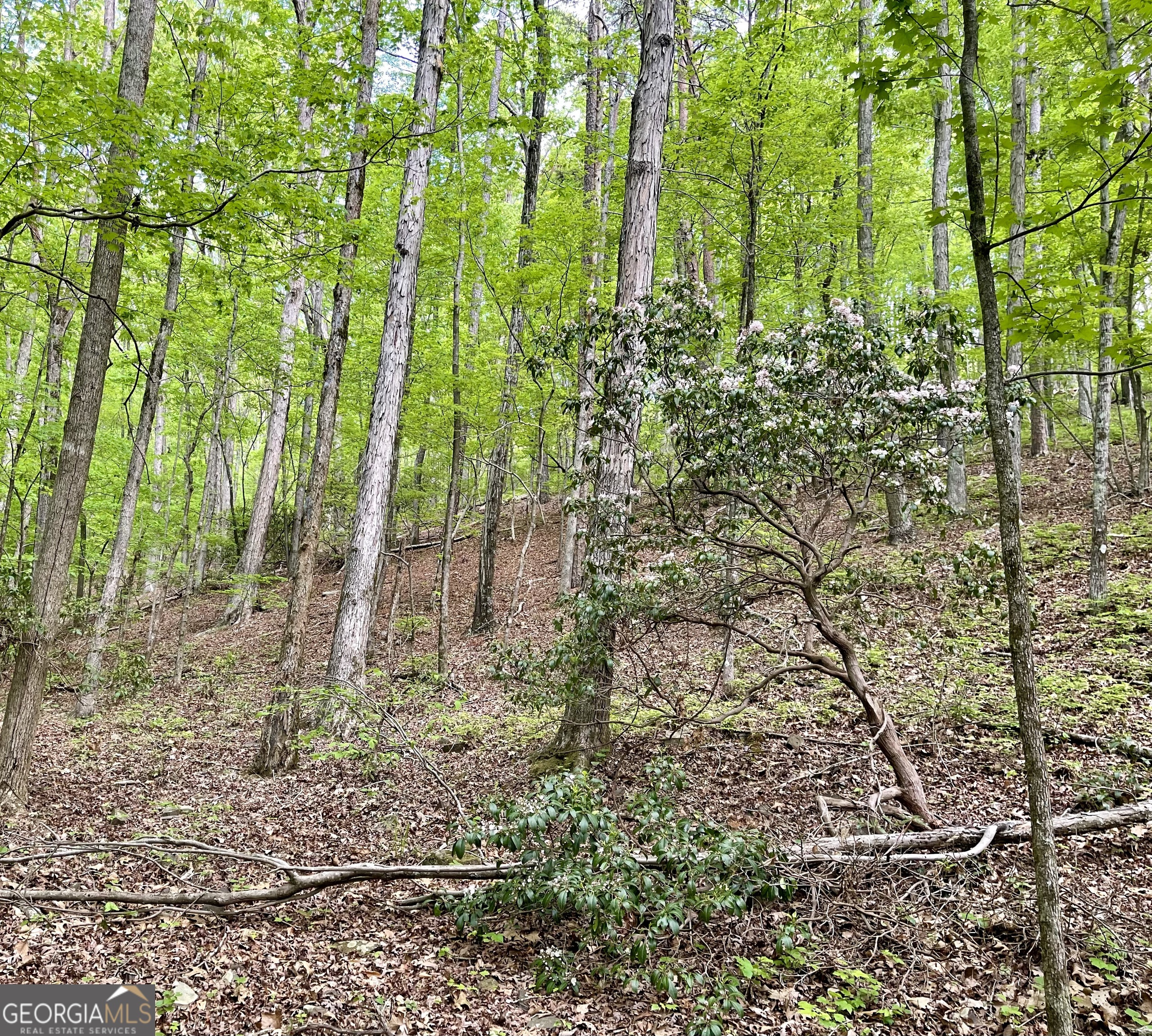 0 Everett Springs Road Armuchee GA 30105