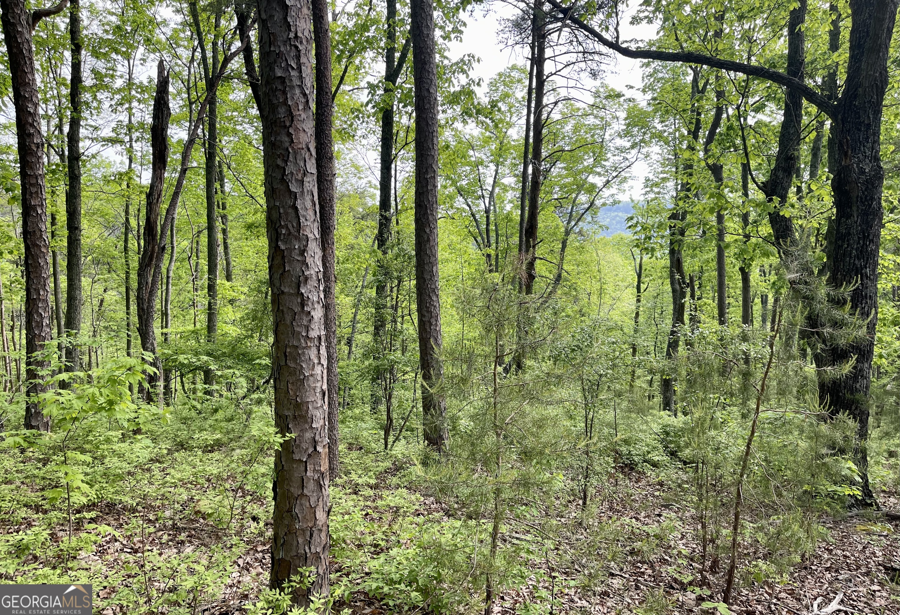 0 Everett Springs Road Armuchee GA 30105